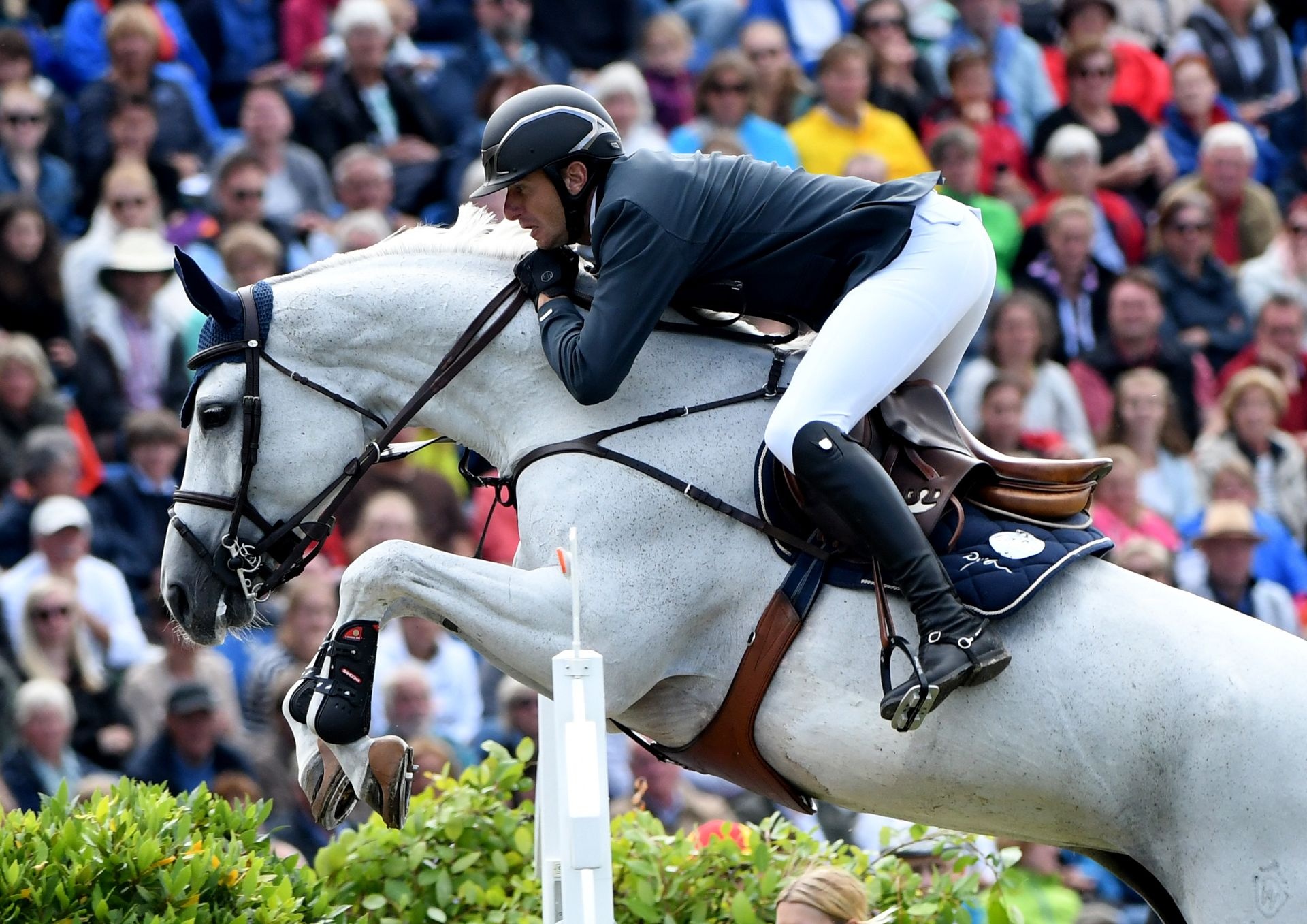 Equitation: Gregory Wathelet, A Belgian equestrian who competes in the sport of show jumping. 1920x1360 HD Background.