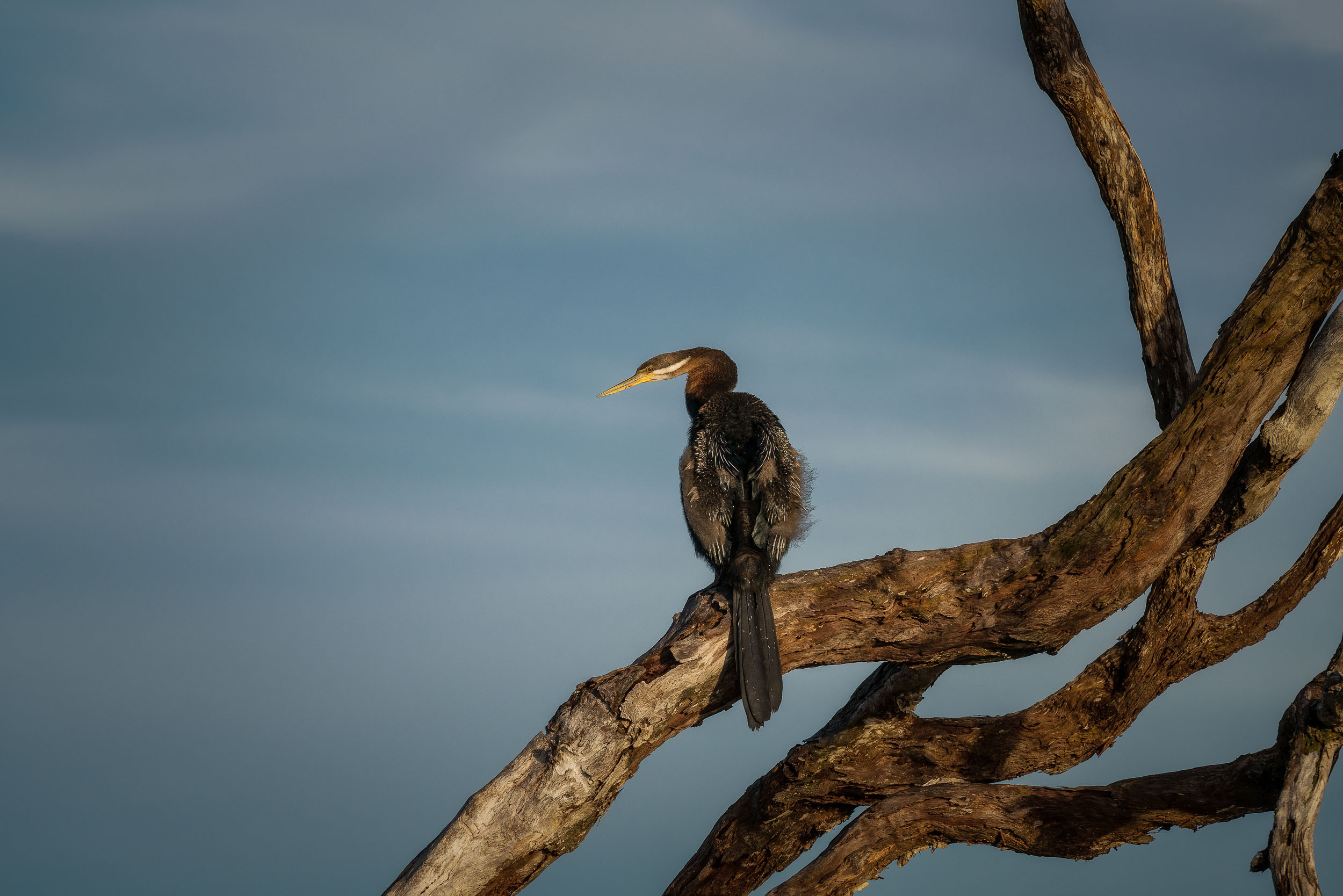 Kakadu National Park, Reflections, Natural beauty, Travel, 2500x1670 HD Desktop