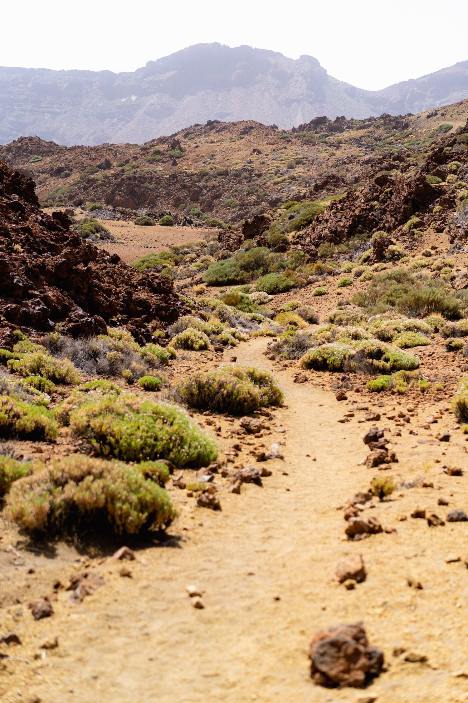 Teide National Park, Hiking tips, Nature trails, Breathtaking landscapes, 1500x2250 HD Phone