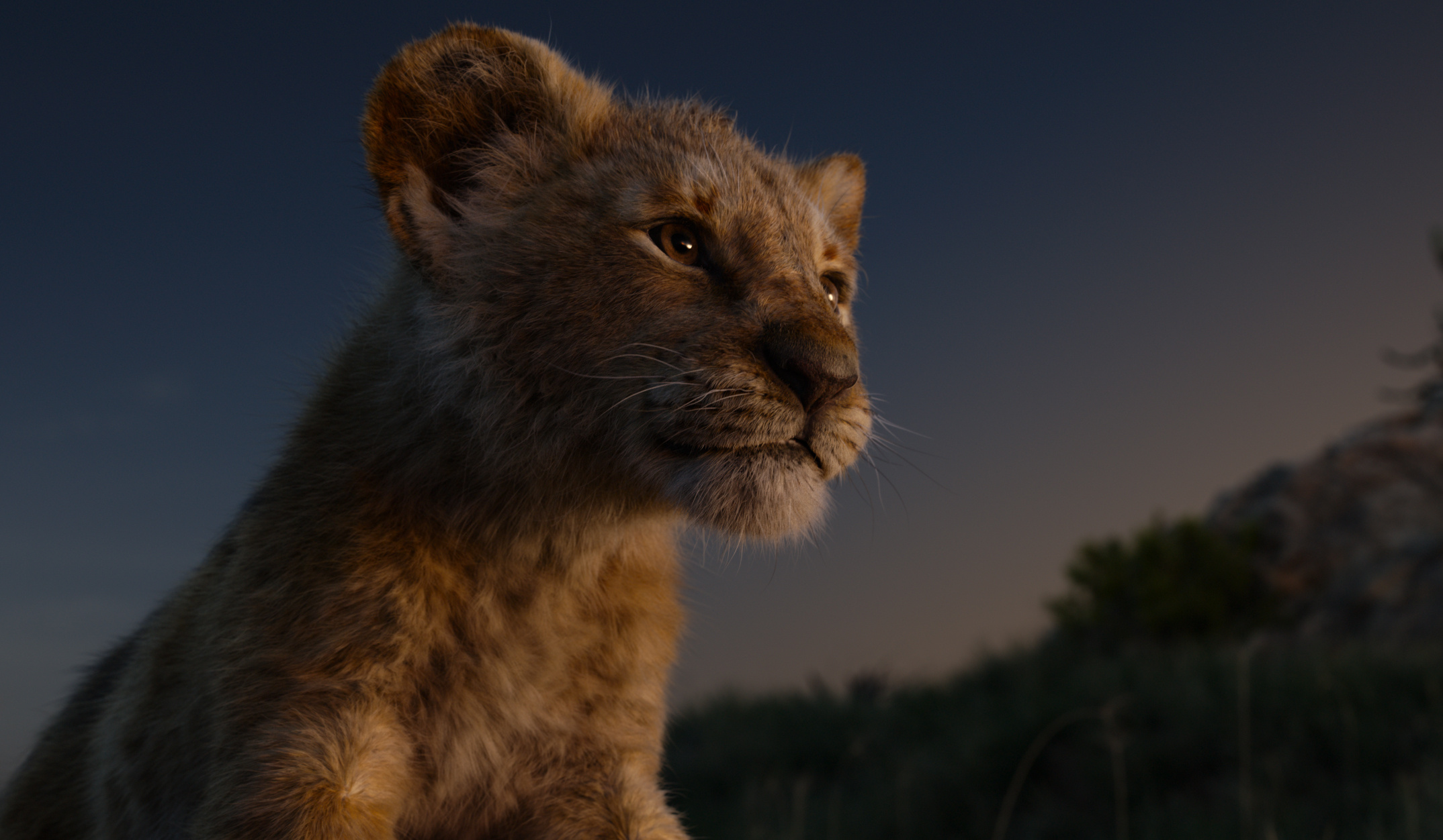 The Lion King 2019, Simba in HD, Striking wallpapers, Majestic presence, 2150x1260 HD Desktop