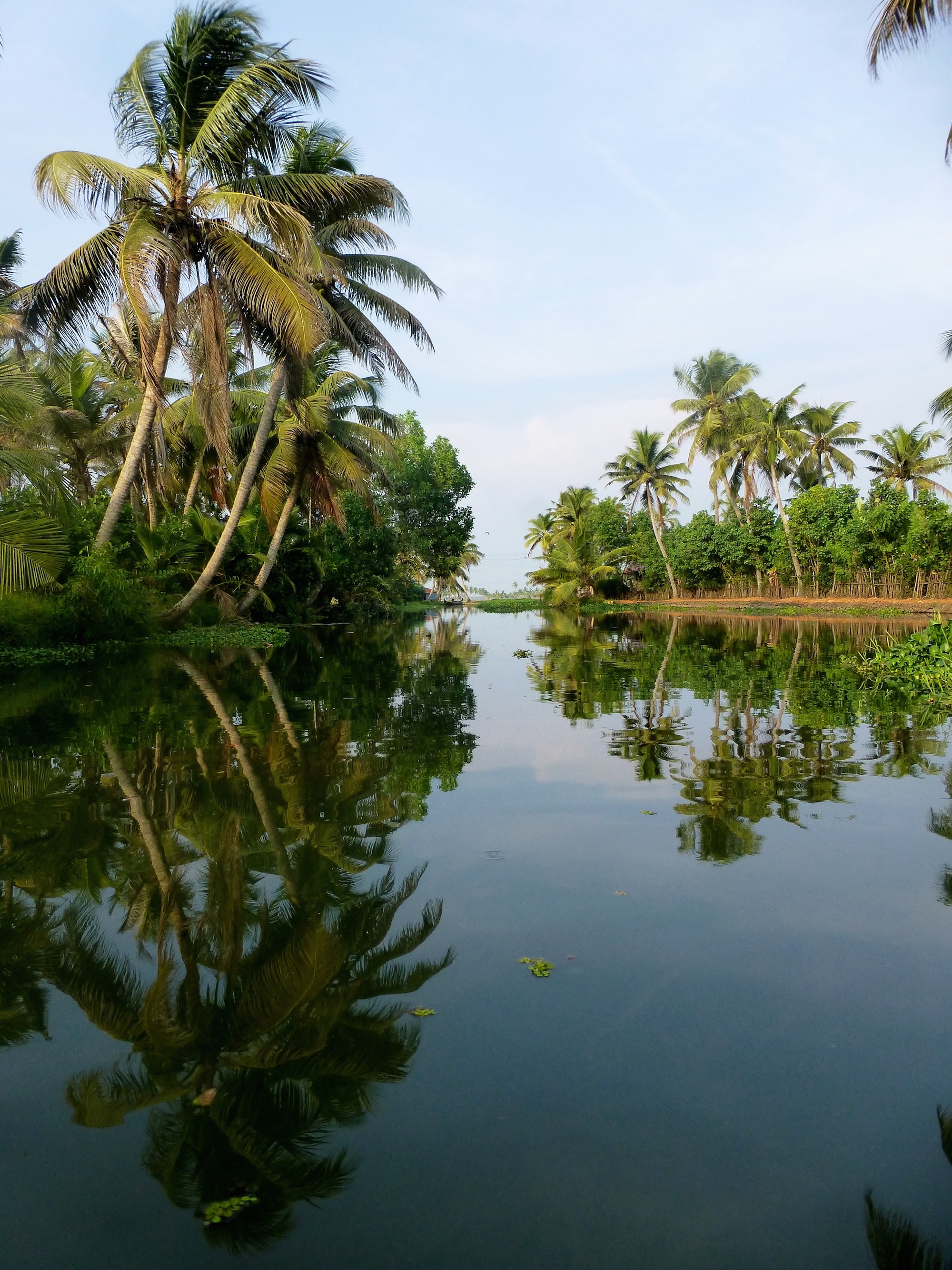 Kerala's backwaters, Relaxing pace, Unique travel experience, Nature's wonder, 2000x2670 HD Handy