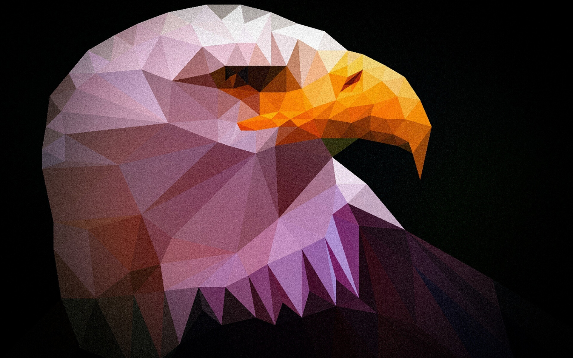 Geometric Animal: Eagle low poly art, Predatory bird, Vector drawing, Minimalism. 1920x1200 HD Wallpaper.