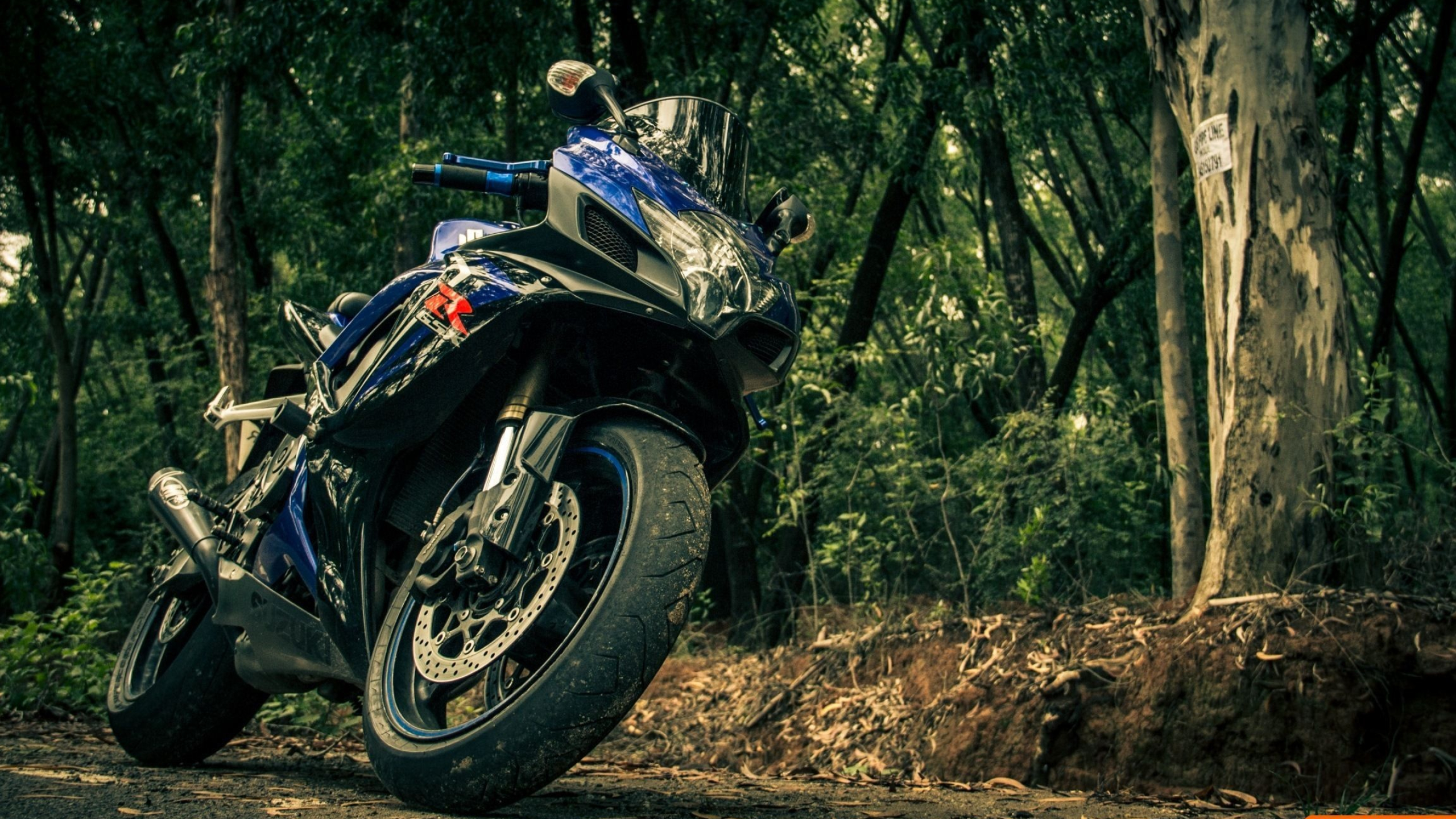 Suzuki GSX-R1000, High-performance bike, Thrilling speed, HD wallpapers, 2560x1440 HD Desktop