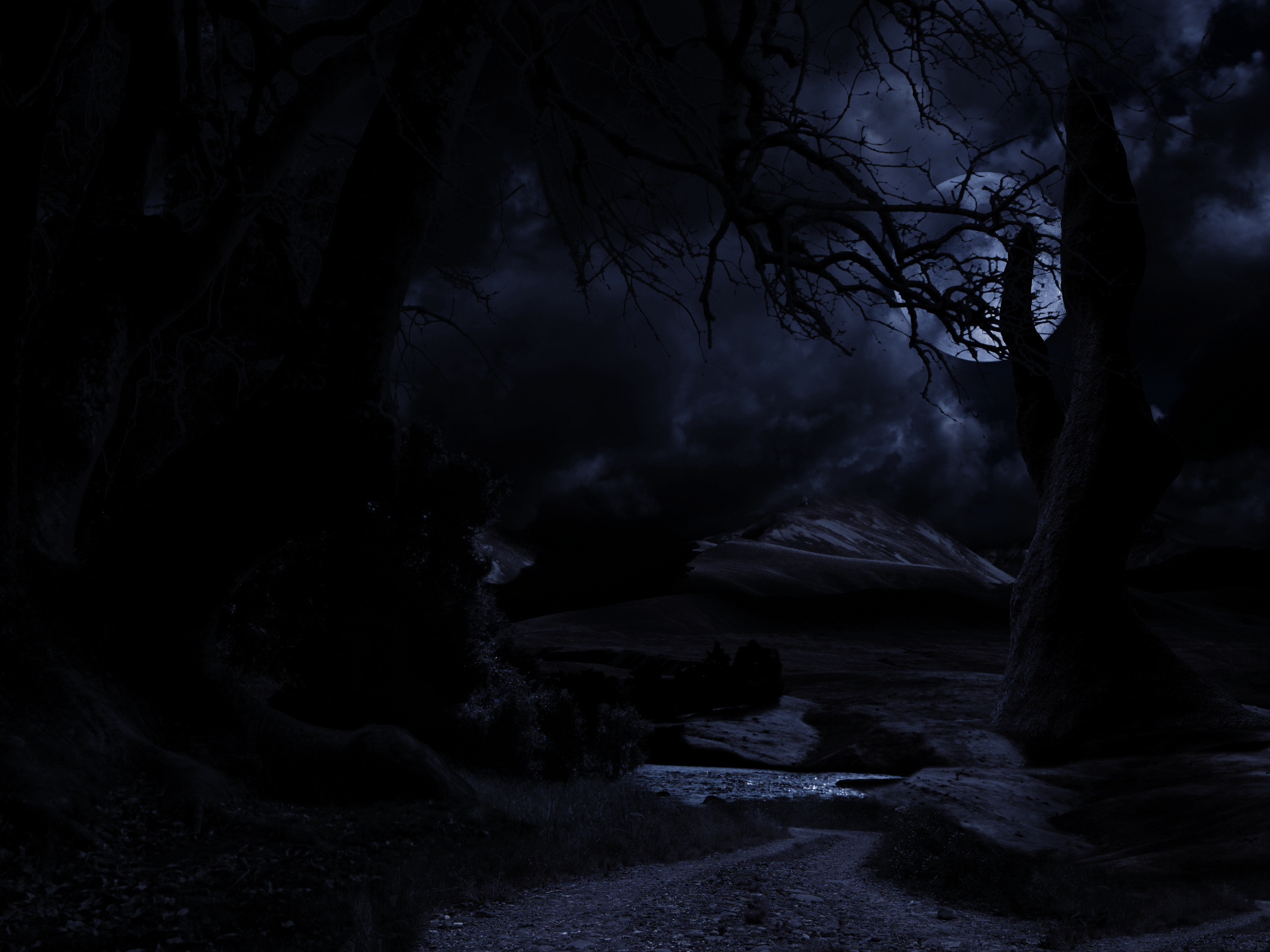 Gothic Art: Dark gloomy night forest, Moonlight, Dark night, Gothic style. 1920x1440 HD Background.