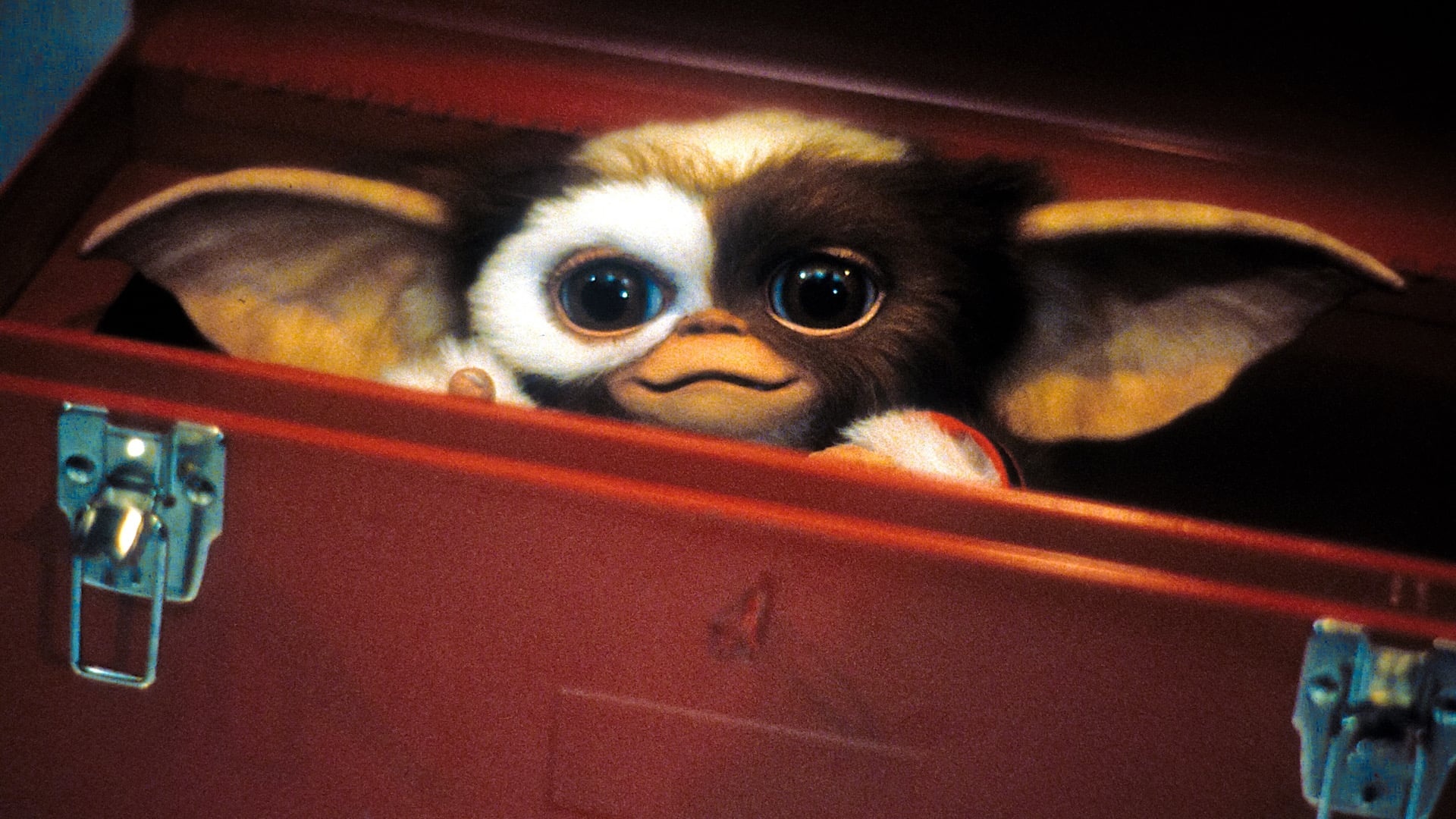 Gremlin Gizmo: The creature was created by special effects artist Chris Walas. 1920x1080 Full HD Wallpaper.