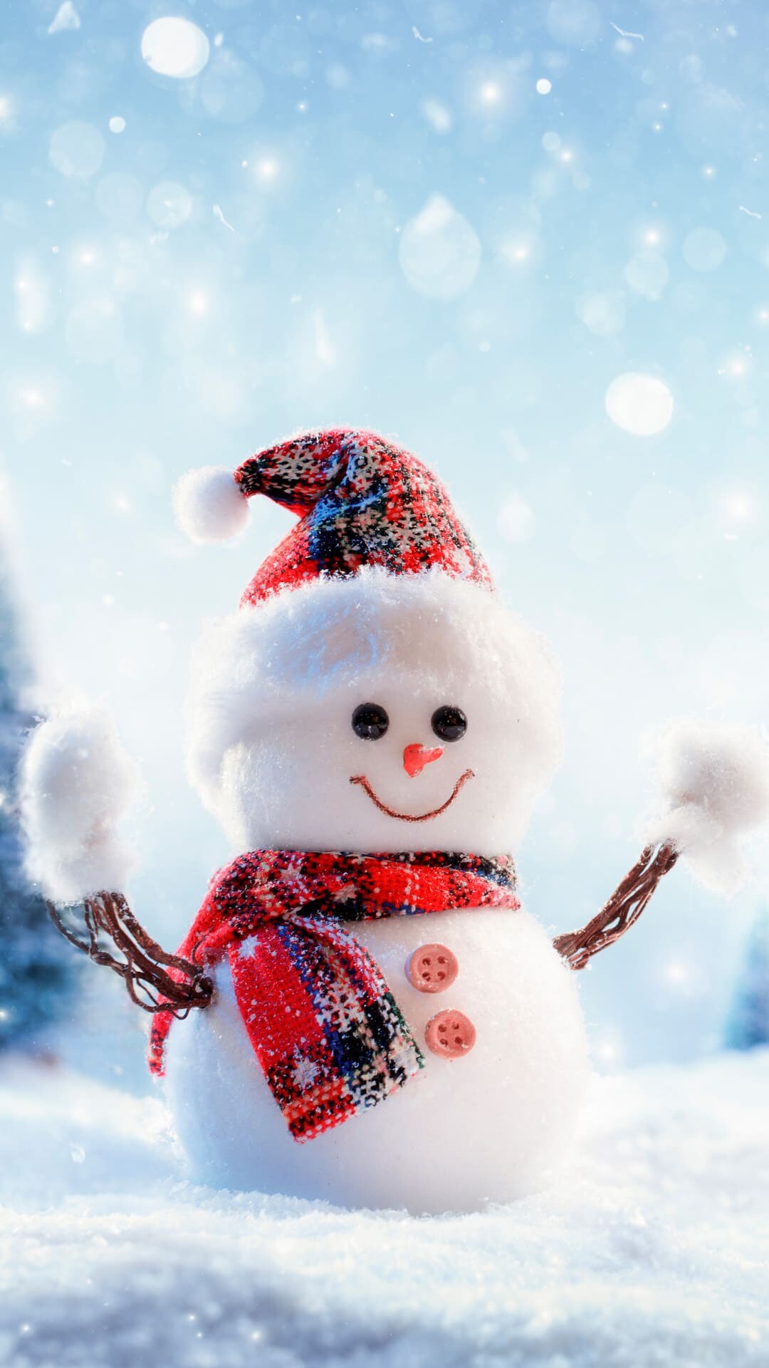 Winter: Snowman, A blanket of snow, Freezing temperatures. 1080x1920 Full HD Background.