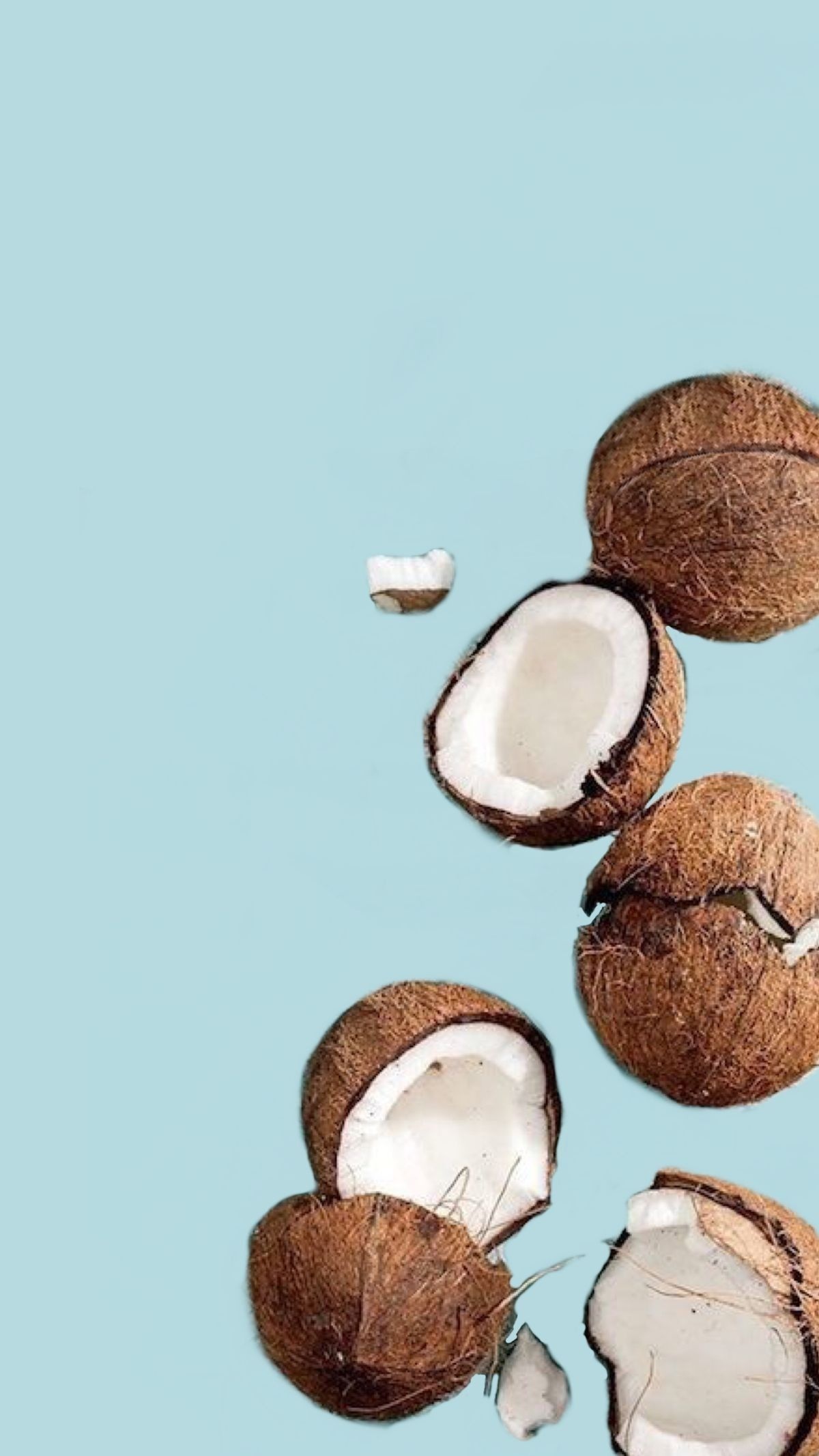 Coconut: One of the most well-known yet unique fruits available. 1200x2140 HD Background.