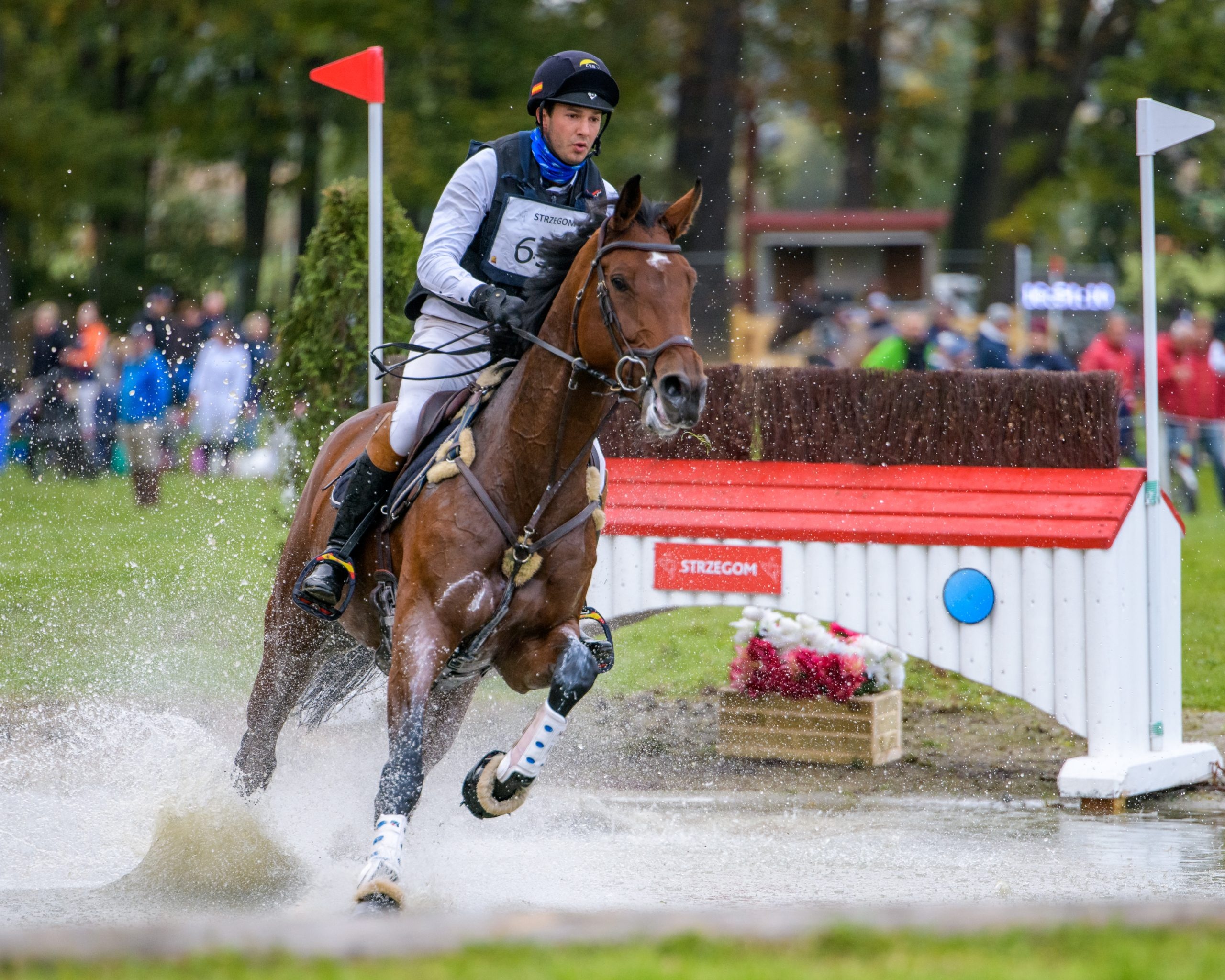 Eventing: Cross country equestrian jumping, An endurance test and one of the three phases of the sport of horse trials. 2560x2050 HD Wallpaper.