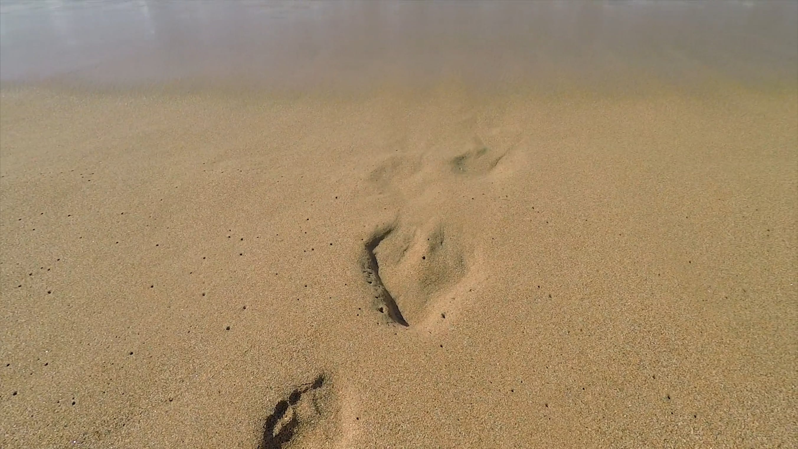 Waves washing footprints, Ocean view, Tranquil beach, Serene, 2710x1520 HD Desktop
