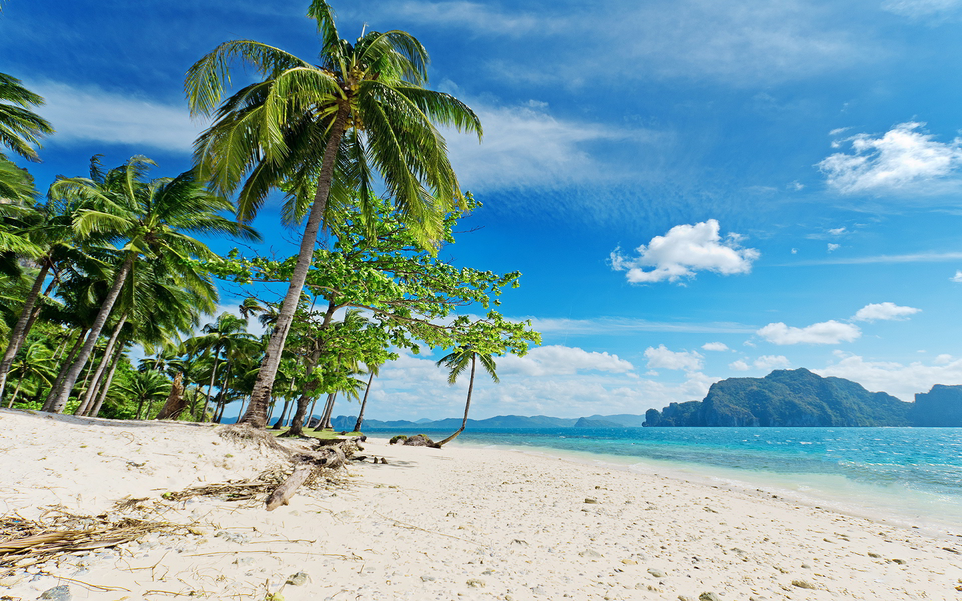 Tonga travels, Sunny beaches, Tropical paradise, Beach beauty, 1920x1200 HD Desktop