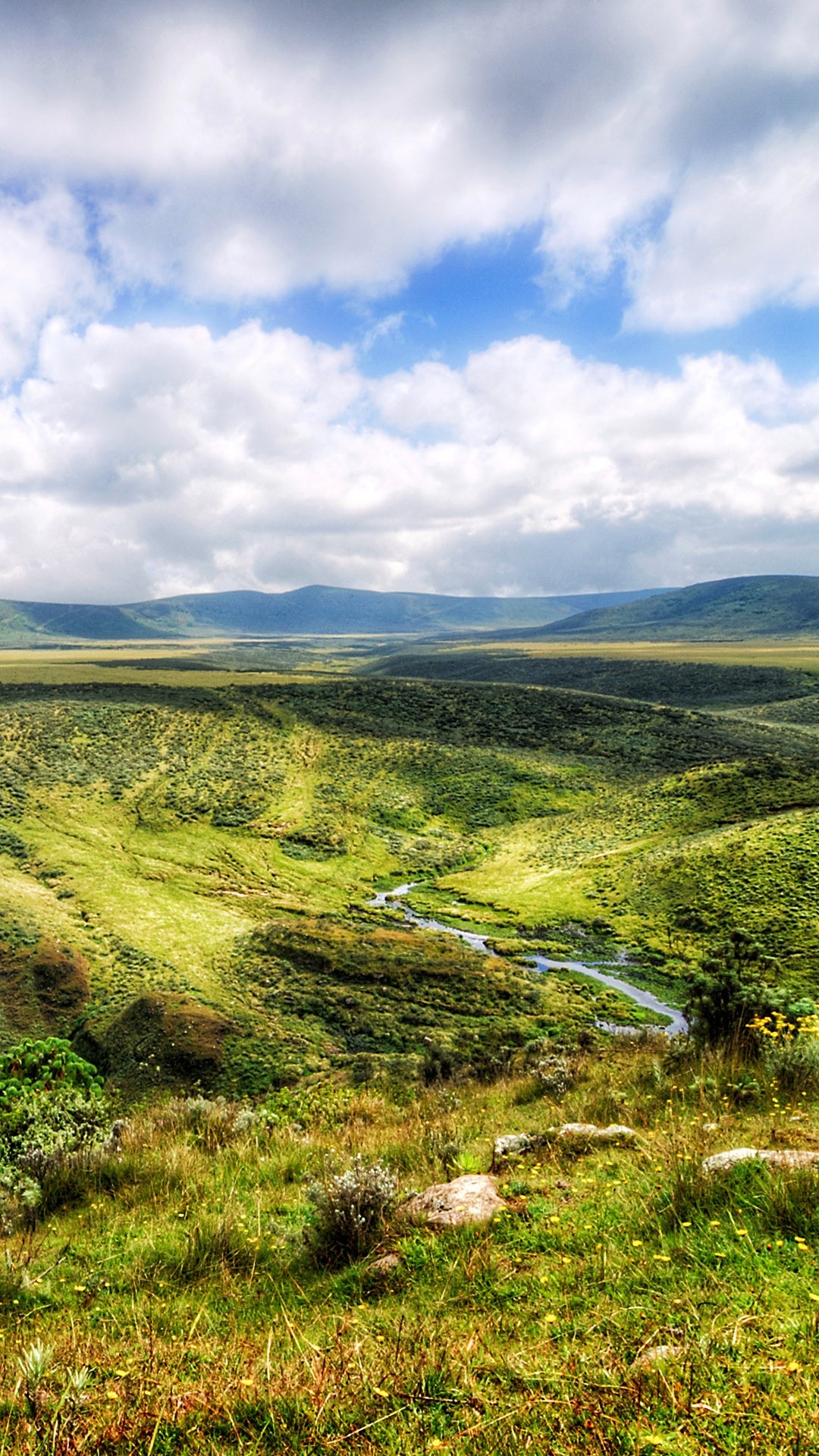 Ngorongoro Crater, Highland view, Olmoti Crater, Tanzania, 1080x1920 Full HD Phone