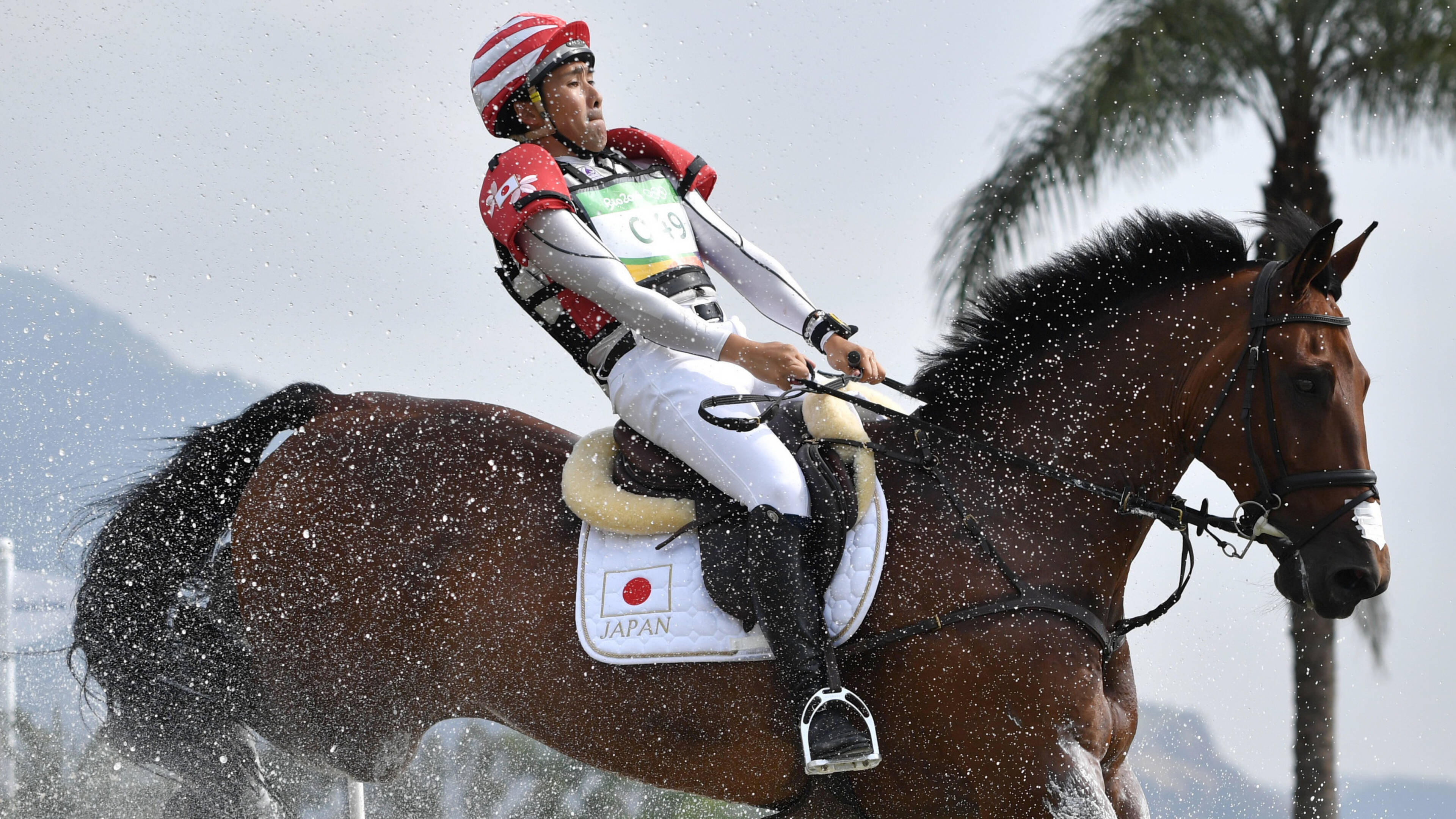 Eventing: Kazuma Tomoto, A Japanese equestrian, The 2020 Summer Olympics cross-country. 3840x2160 4K Background.