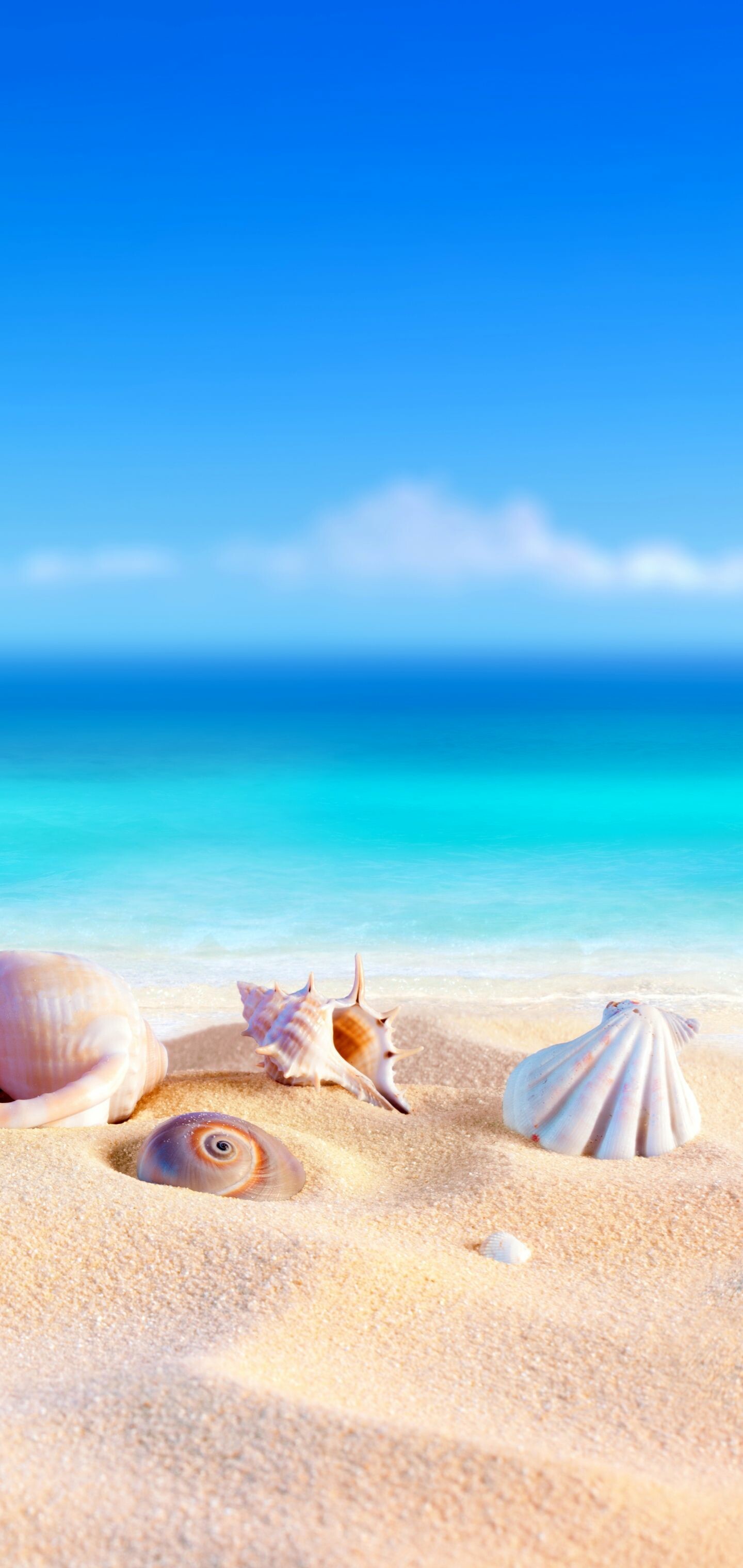 Summer: The hottest season, Holiday destinations. 1440x3040 HD Wallpaper.