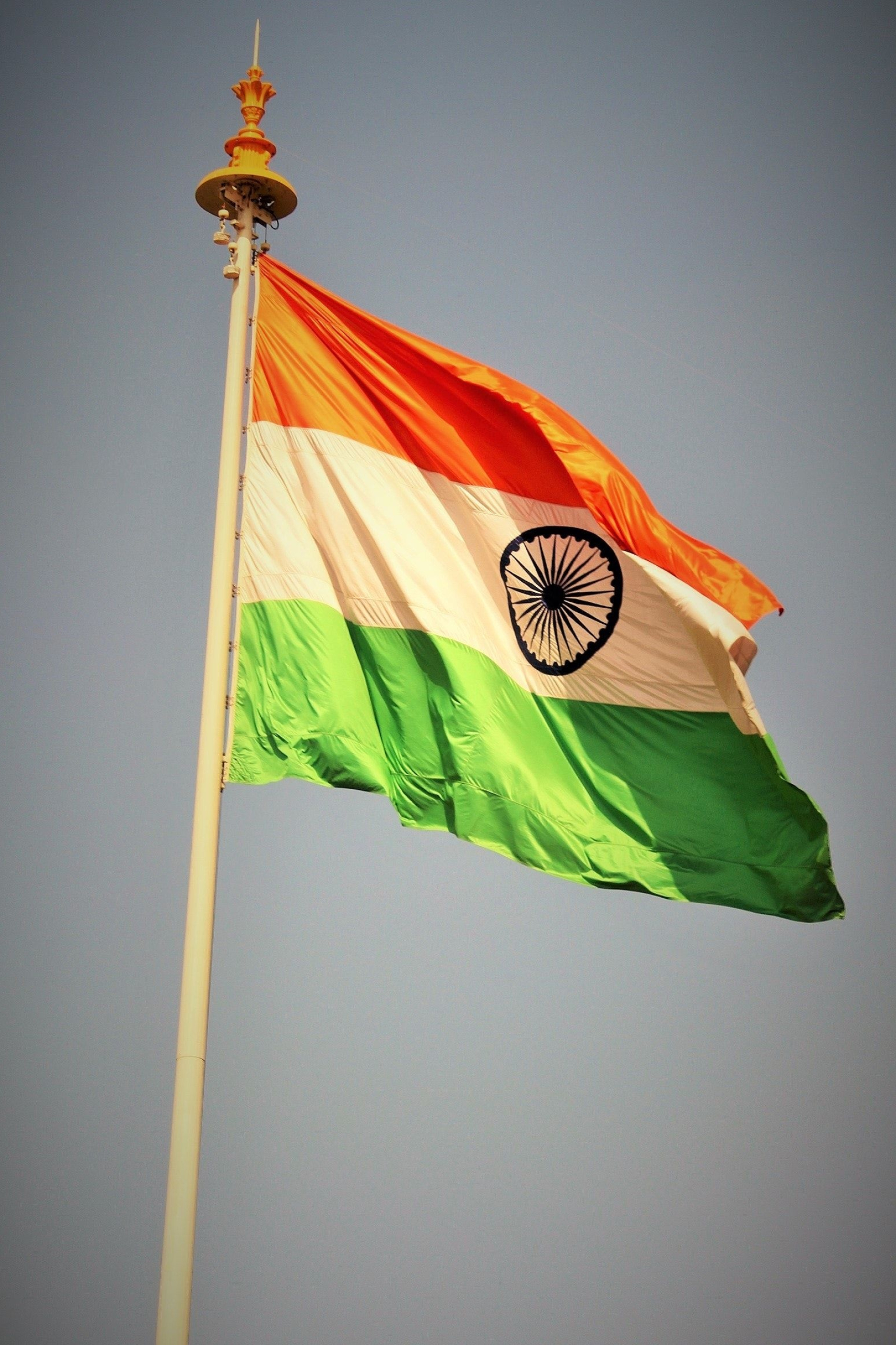 Indian flag, National pride, Tricolor symbol, Patriotic celebration, 1730x2600 HD Phone