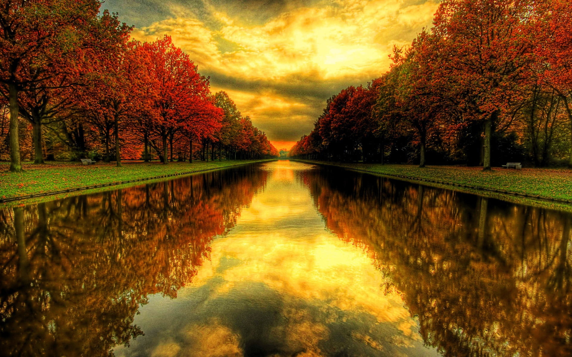 Maple trees near river, Sunset, HD wallpaper, Nature, 1920x1200 HD Desktop