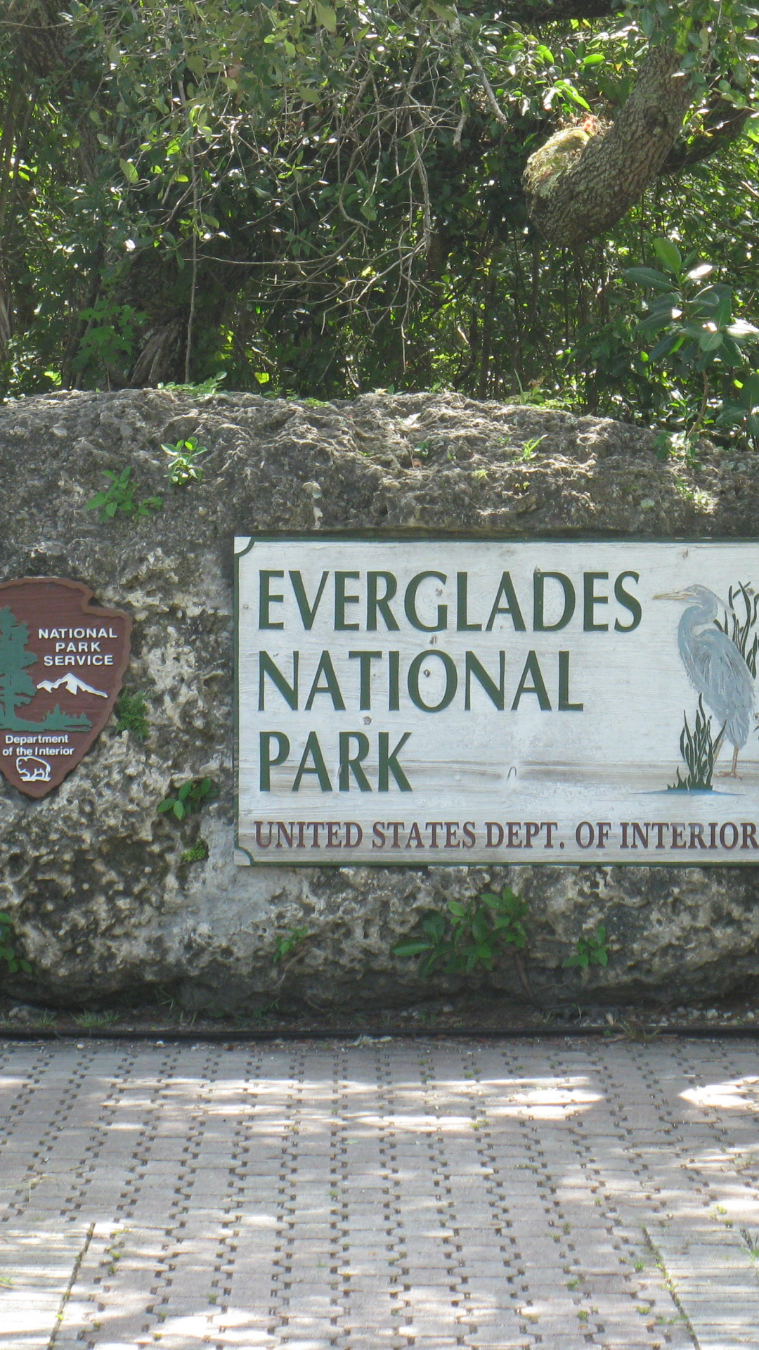 Erd-HD-Bilder des Everglades-Nationalparks, 1080x1920 Full HD Handy