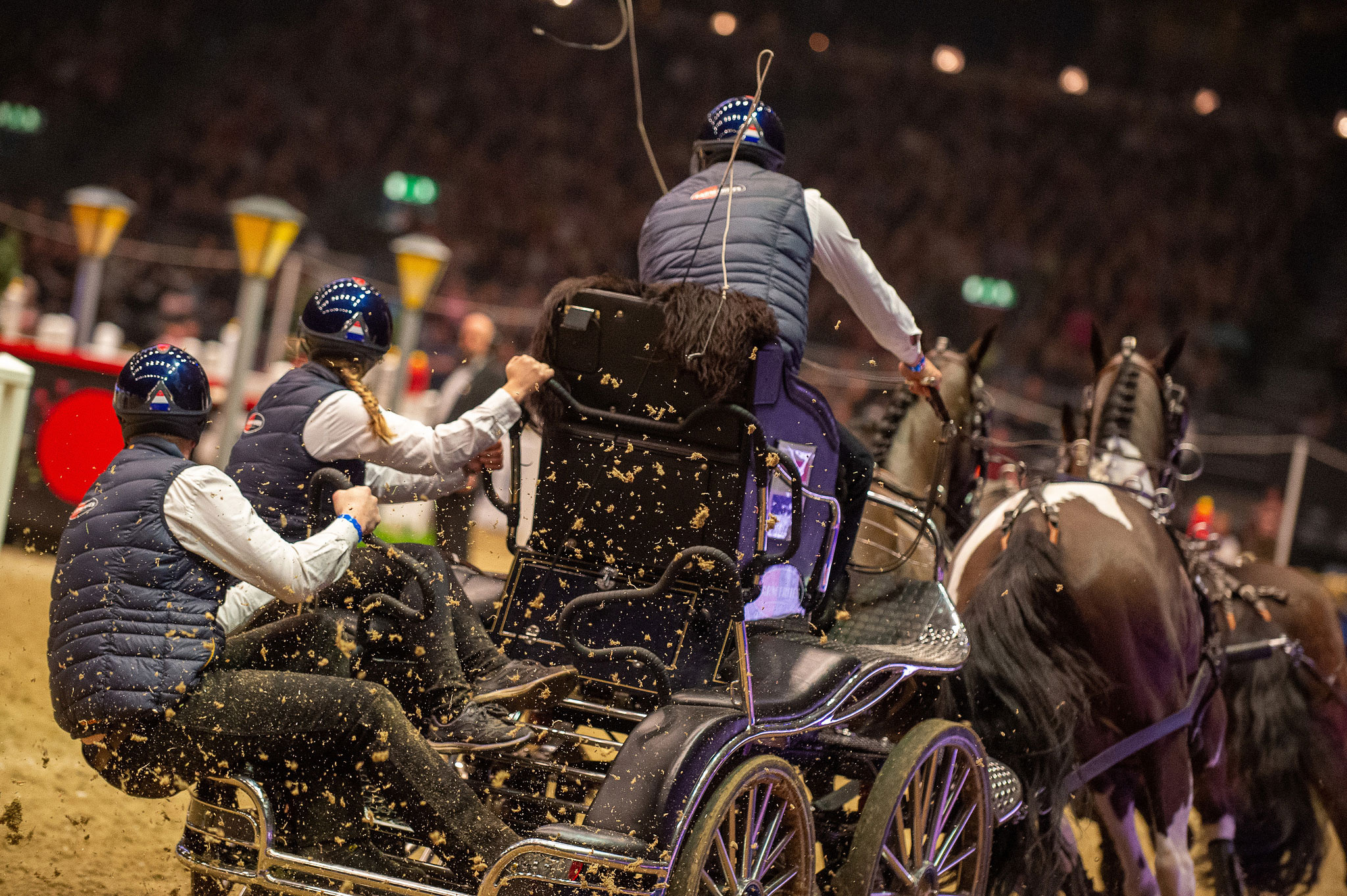 Carriage Driving, Brilliant backsteppers, Sports, Tribute, 2050x1370 HD Desktop