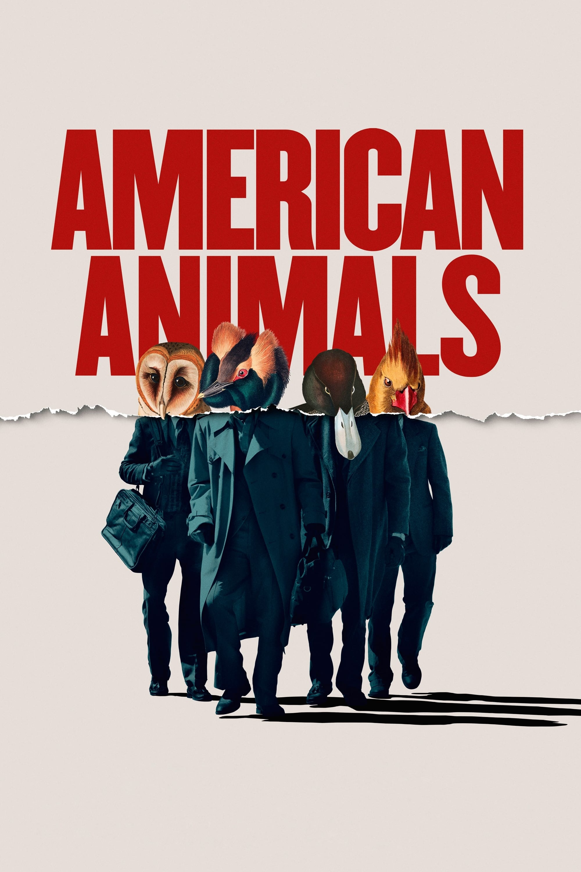 American Animals movie, Unique heist, Memorable characters, The Movie Database, 2000x3000 HD Phone