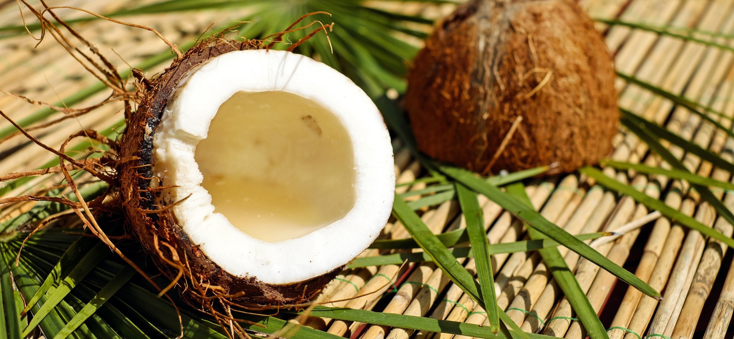 Coconut: Comes from one of the most famous and useful palms in the world. 2440x1130 Dual Screen Background.