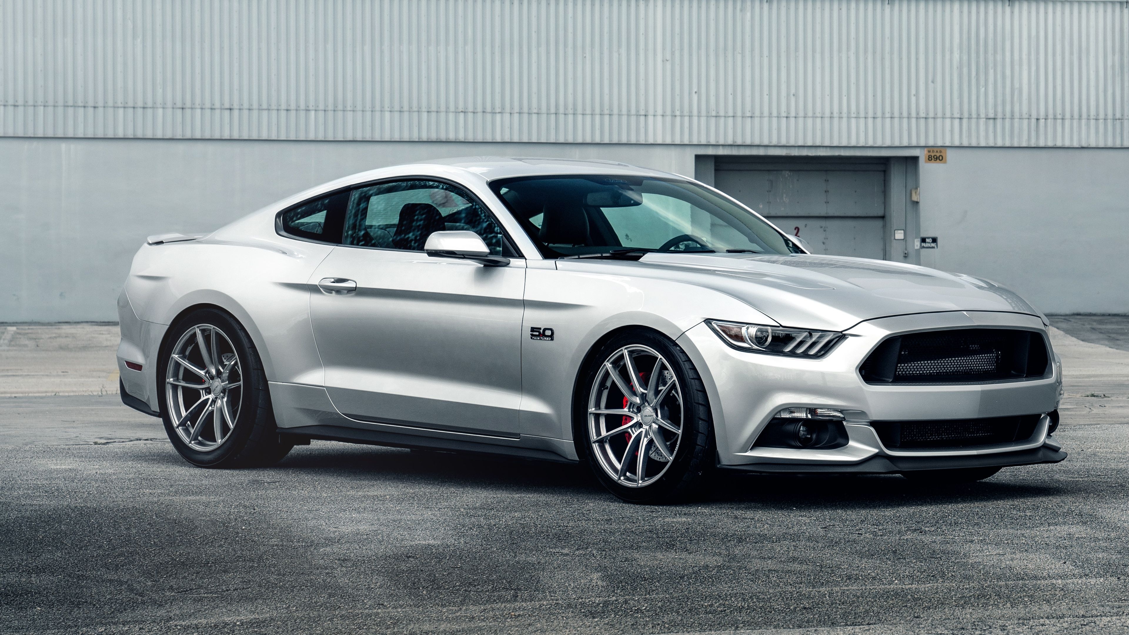 Silver Mustang, Reflective elegance, Automotive craftsmanship, Muscular contours, Road dominance, 3840x2160 4K Desktop