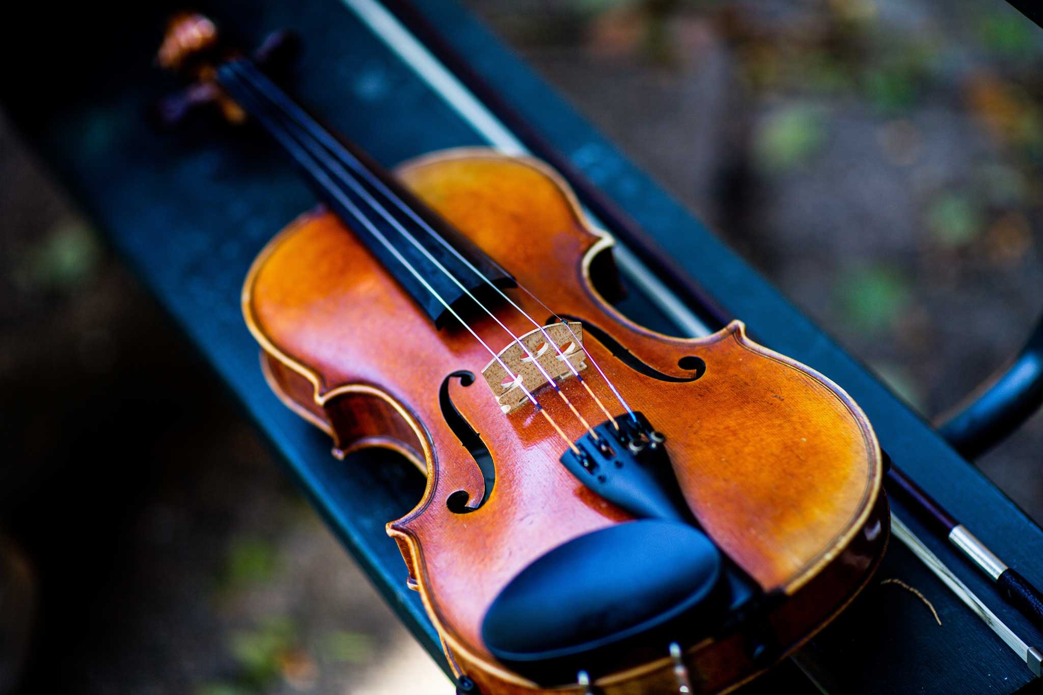 Violin: Chamberfest Sensory-Friendly Concert, Jazz Music, 2021, Plucked String Instruments. 2050x1370 HD Background.