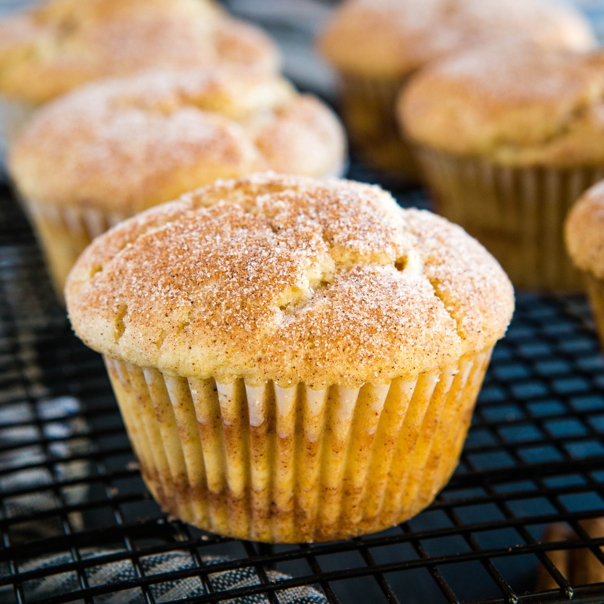 Muffin: Baked in shallow, cylindrical pans with individual cups. 2050x2050 HD Wallpaper.