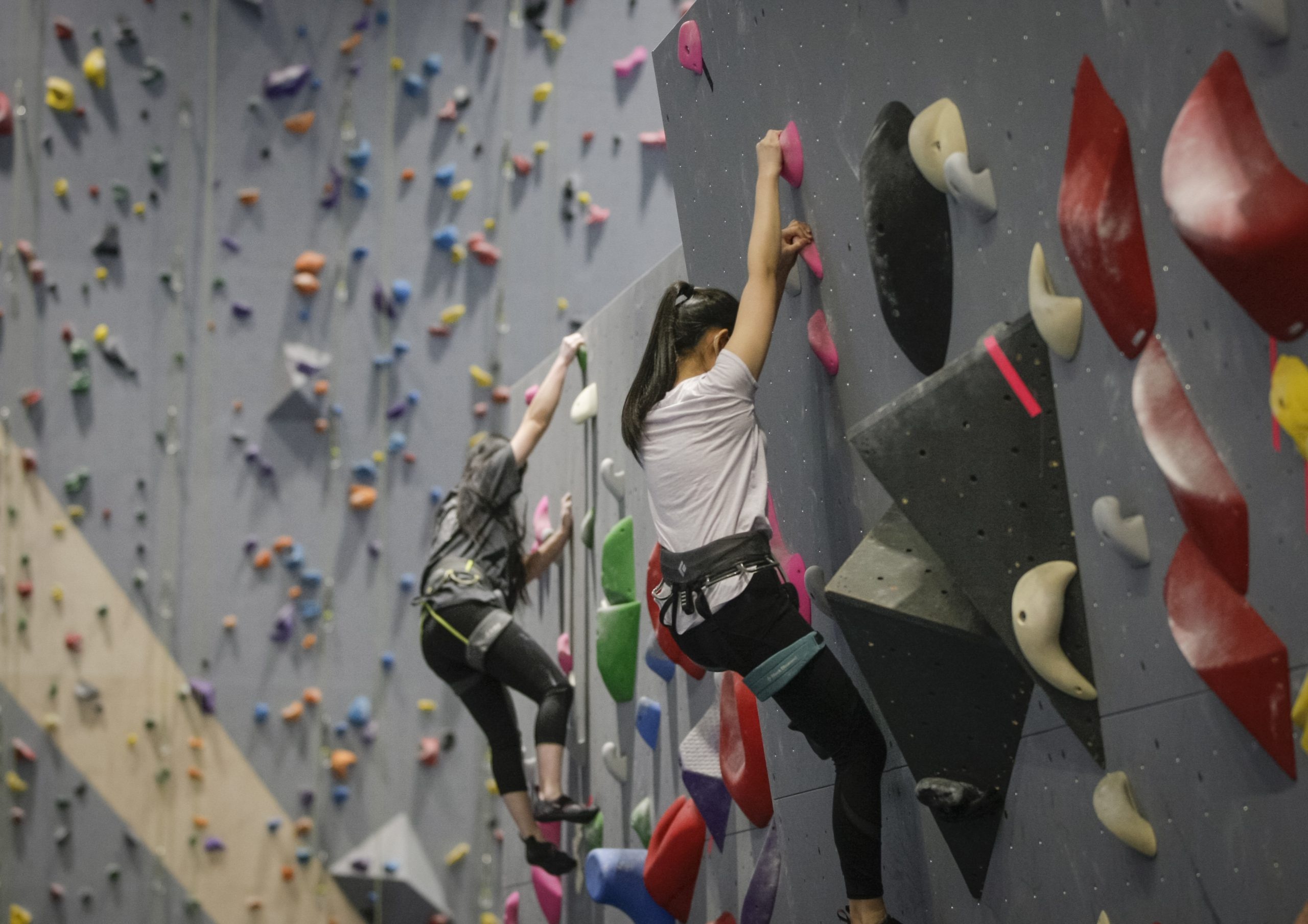 Rock Climbing: Indoor Climbing in Vancouver, Rock Walls For Climbing In The Gym In Canada. 2560x1810 HD Background.