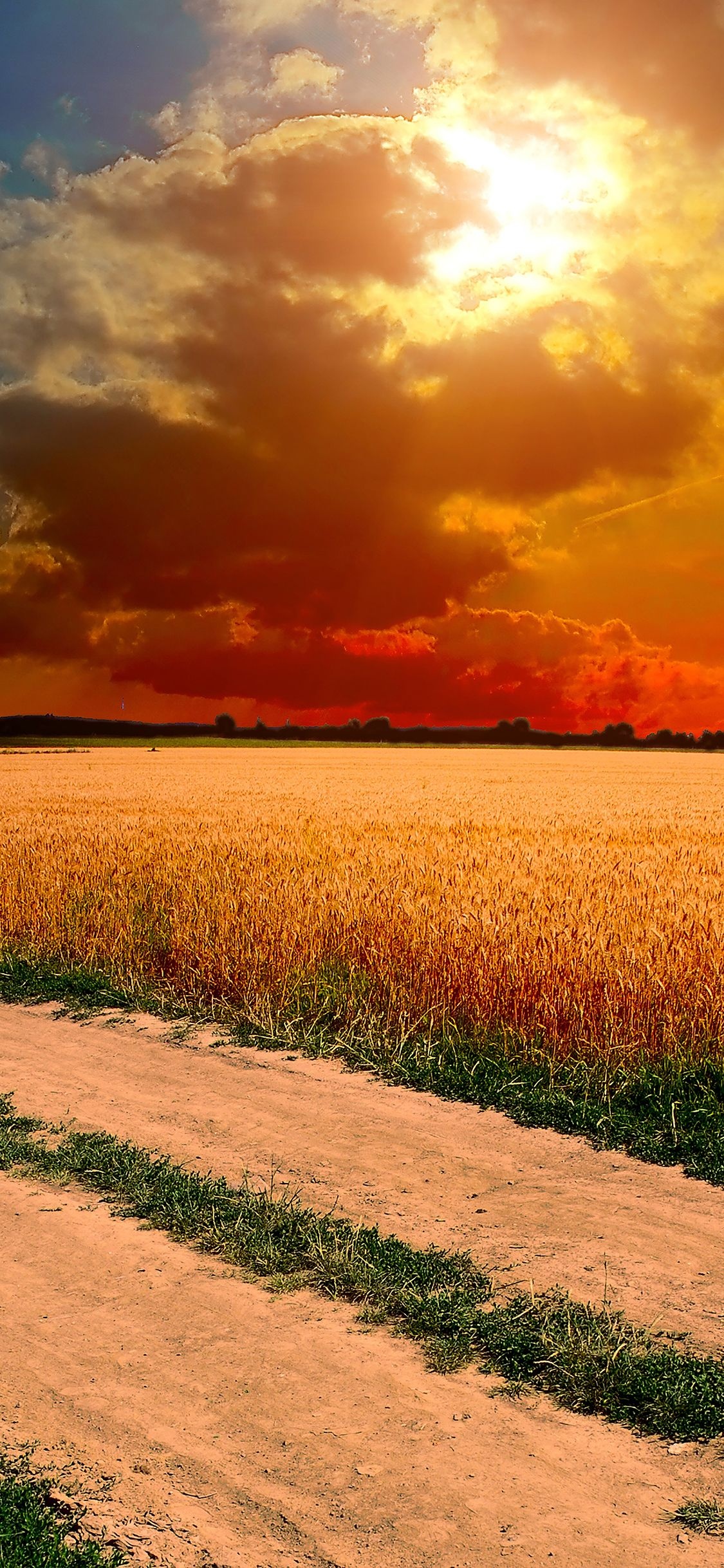 Farm: Country landscape, Rural road, Sunset. 1130x2440 HD Wallpaper.
