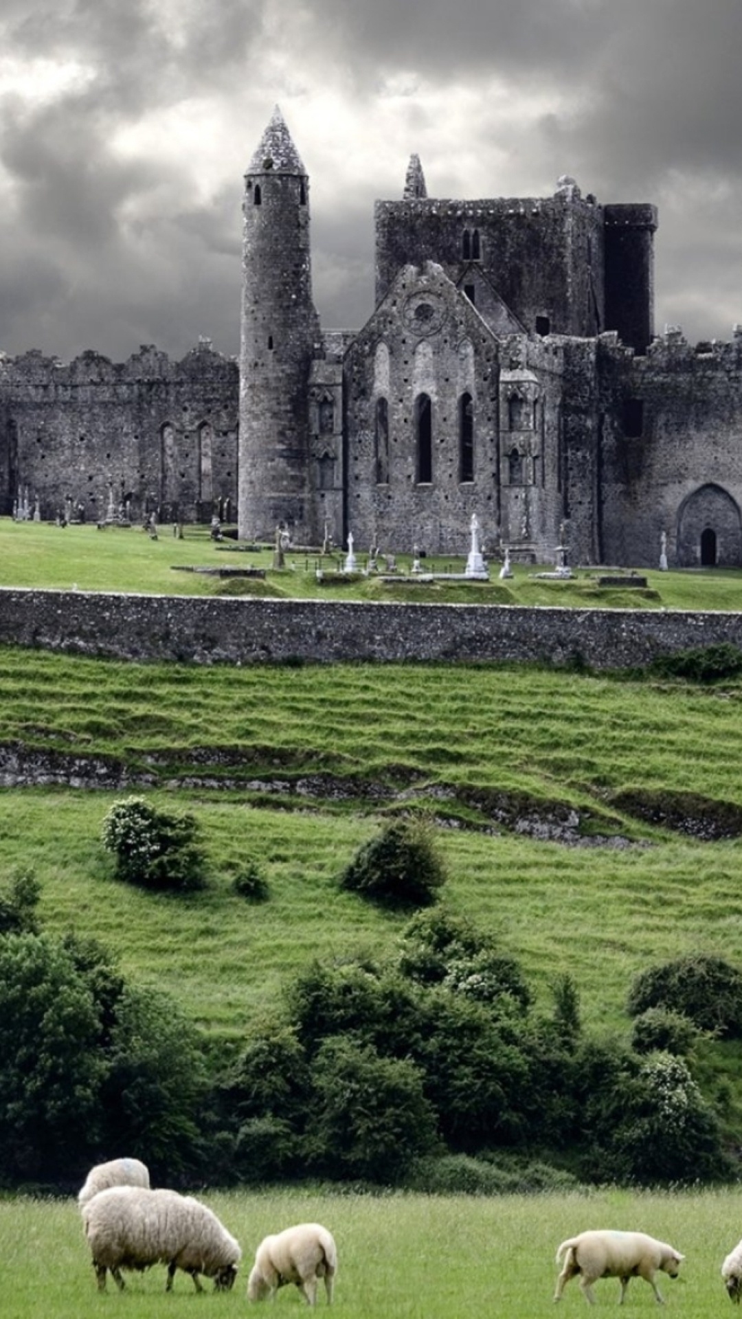 Sheep and castles, Irish landscapes, iPhone 6 Plus wallpaper, Scenic beauty, 1080x1920 Full HD Phone