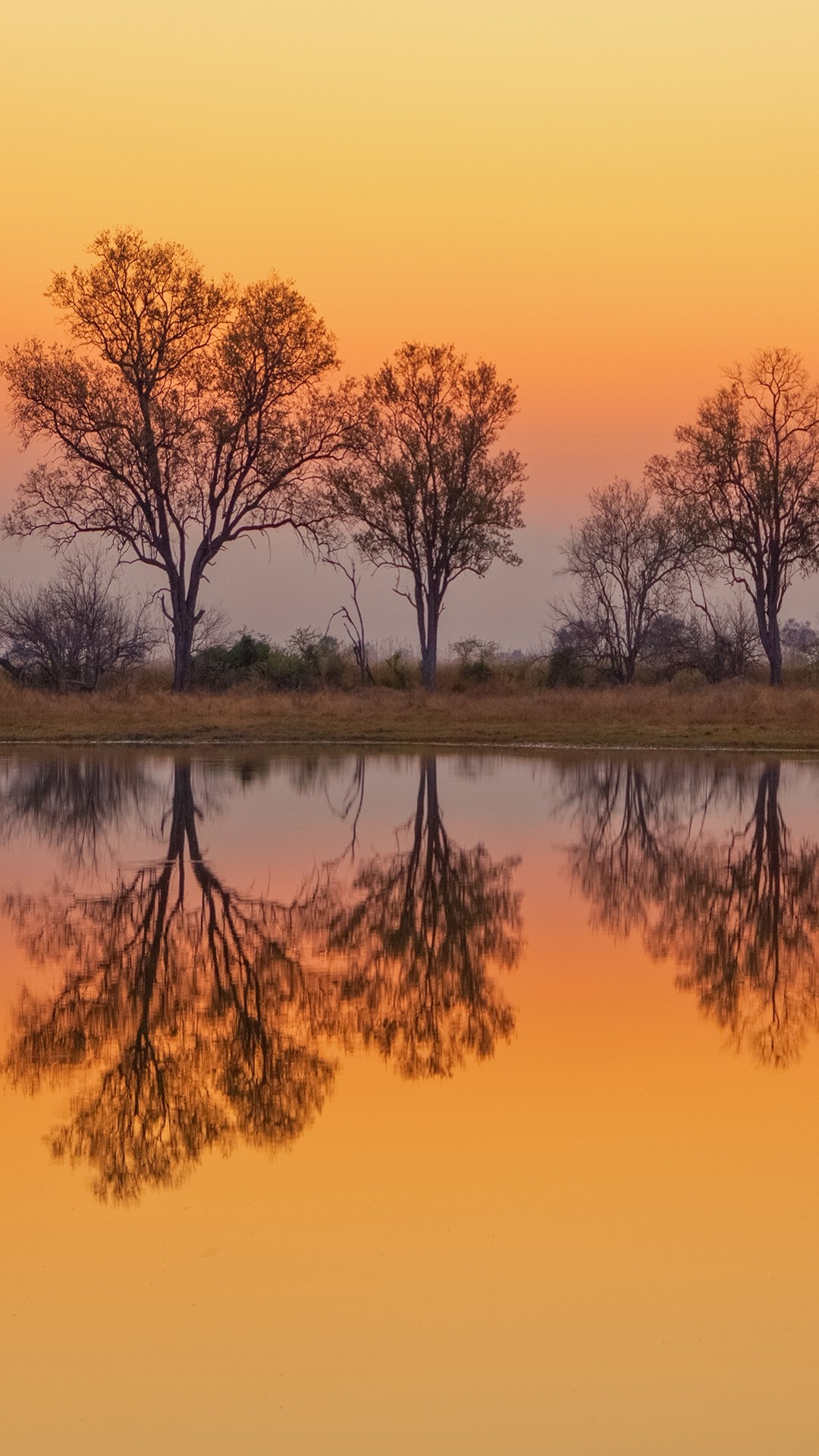 Dawn approaches Okavango Delta, Moremi Game Reserve, Windows spotlight, Botswana beauty, 1080x1920 Full HD Phone