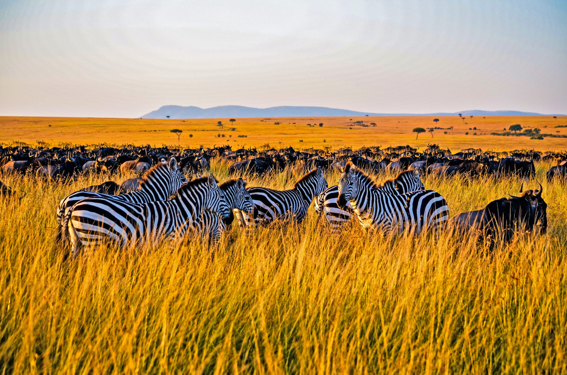 Kenyan images, Stunning photography, High-resolution, Nature's beauty, 2200x1460 HD Desktop