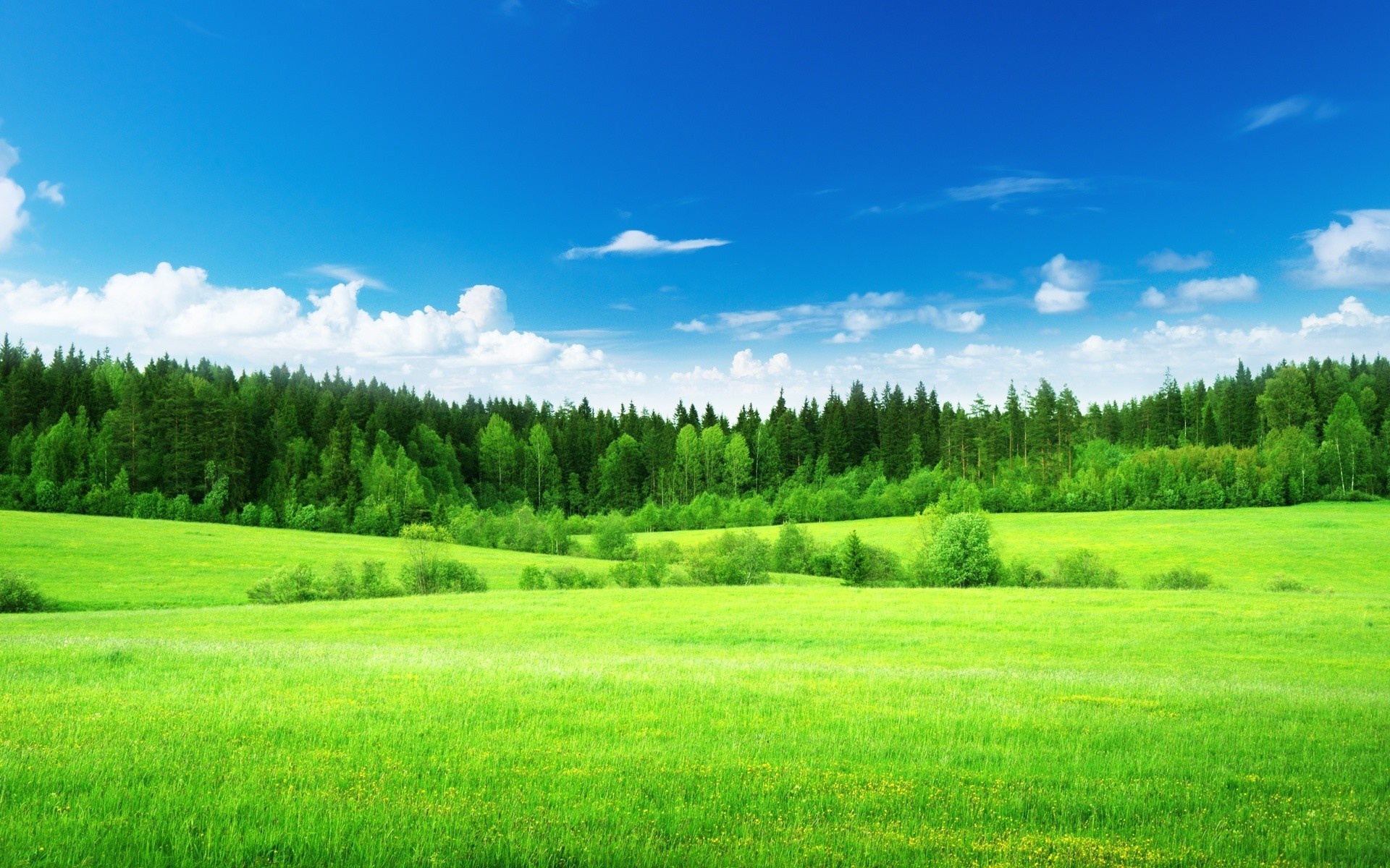 Grass and Sky: Nature, Landscape, Green Trees, Clouds, Woodland, Forest, Outback. 1920x1200 HD Wallpaper.