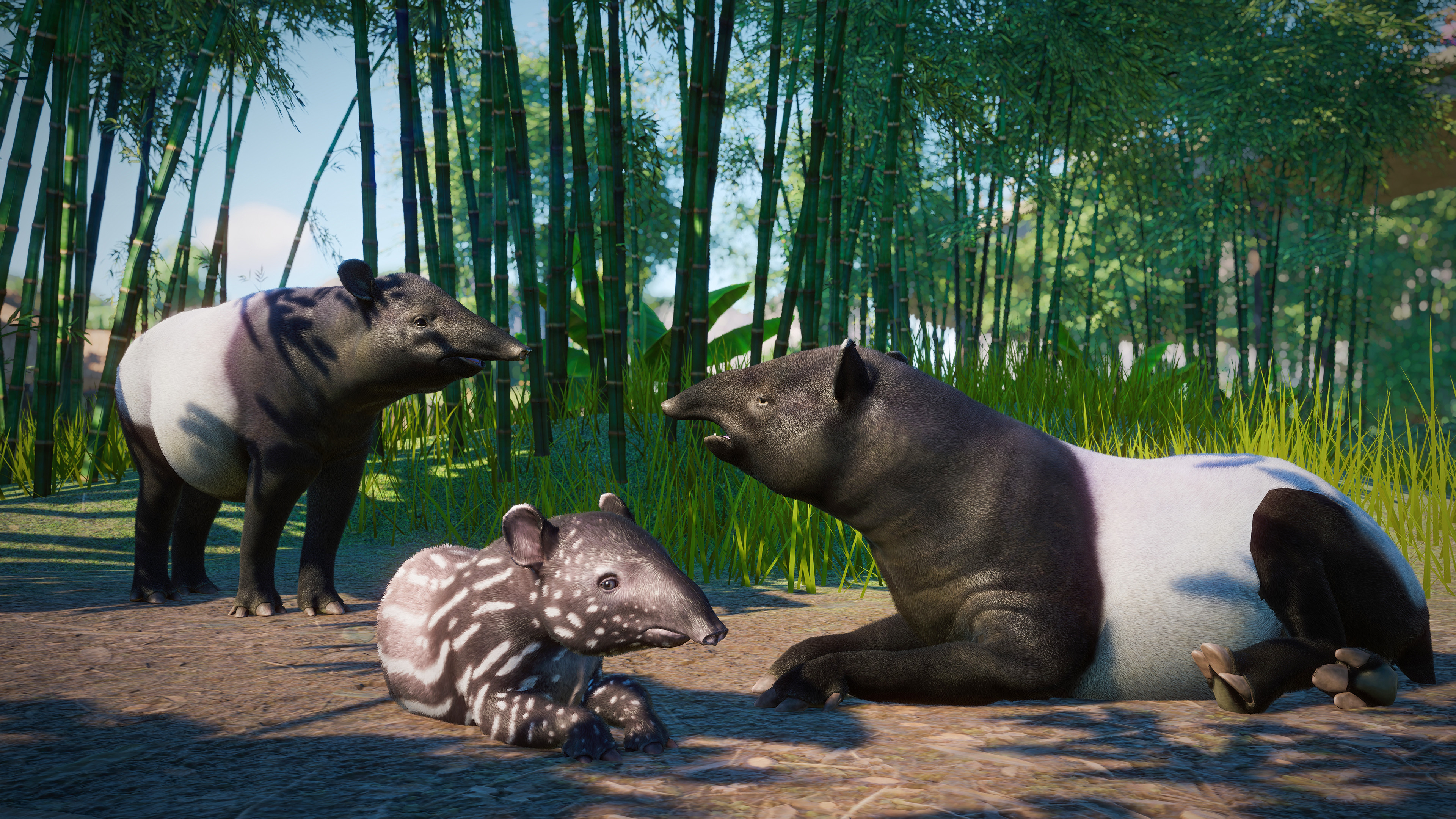 Planet Zoo, Southeast Asia animal pack, Available, Game, 3840x2160 4K Desktop