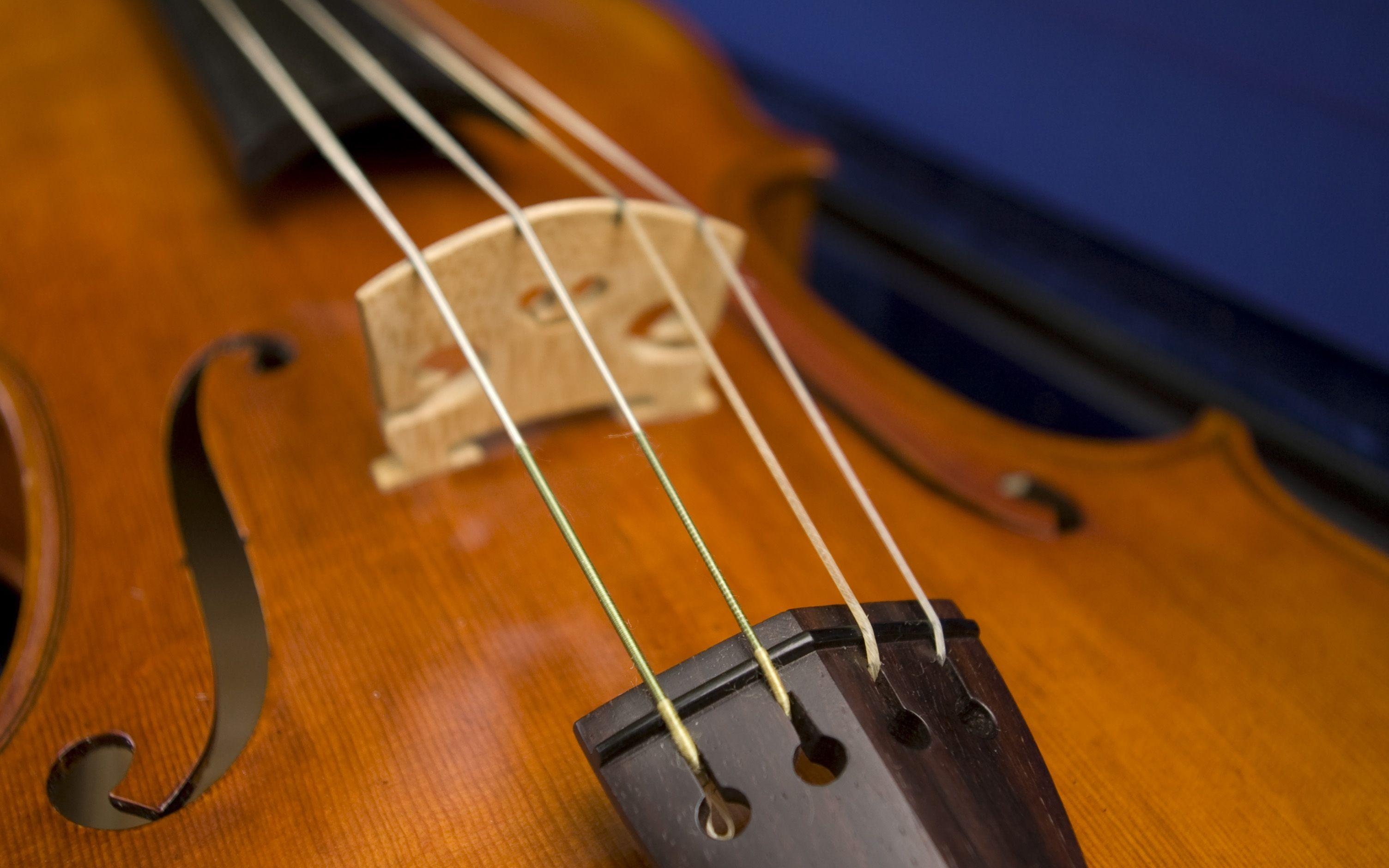 Viola: Close Up Of Bridge, The Strings Run From A Tailpiece To The Pegbox, Classical Music. 3010x1880 HD Background.