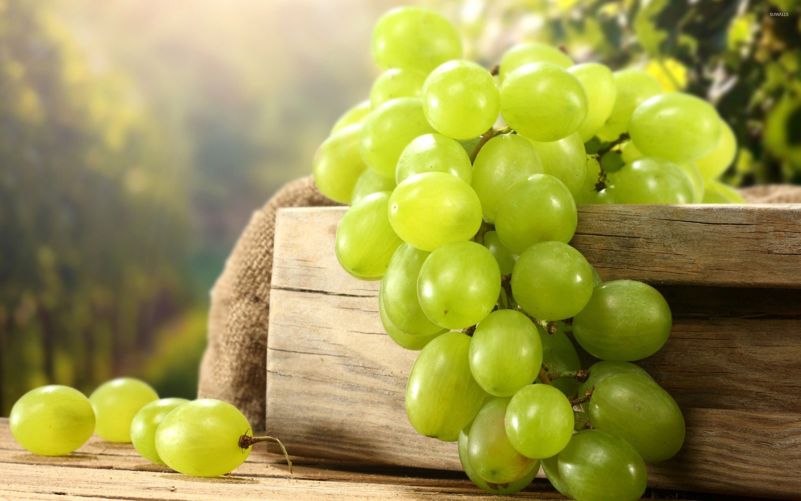 Grapes: Native to the north temperate zone. 2560x1600 HD Background.