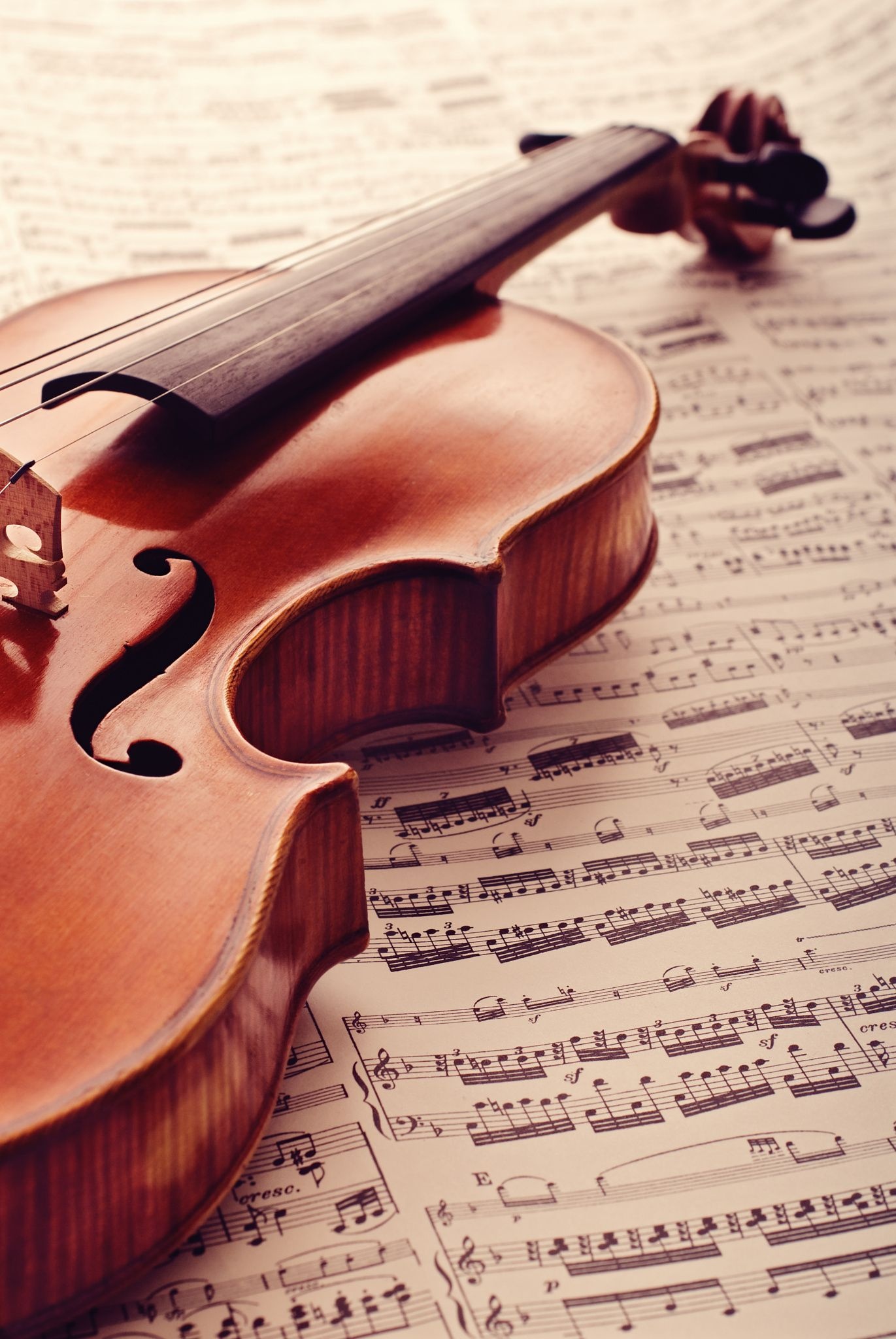 Violin: Wooden Chordophone, Notes, Hollow Wooden Body, Made Of Marple, Varnish, Music. 1380x2050 HD Wallpaper.