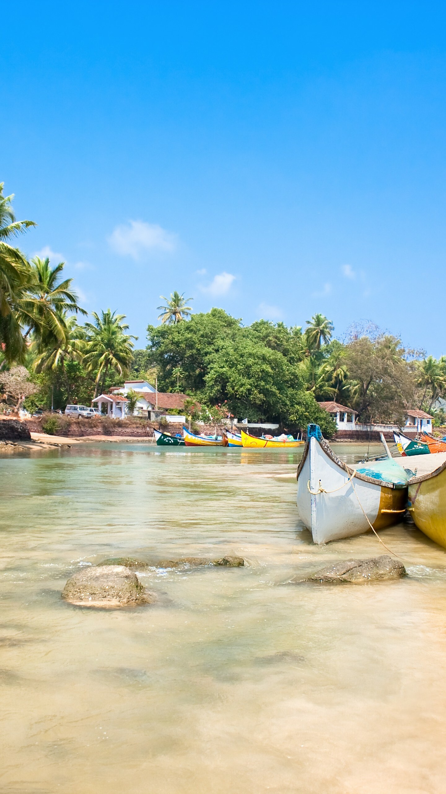 India: Goa, Indian ocean, Palms, Boats, Beach. 1440x2560 HD Background.