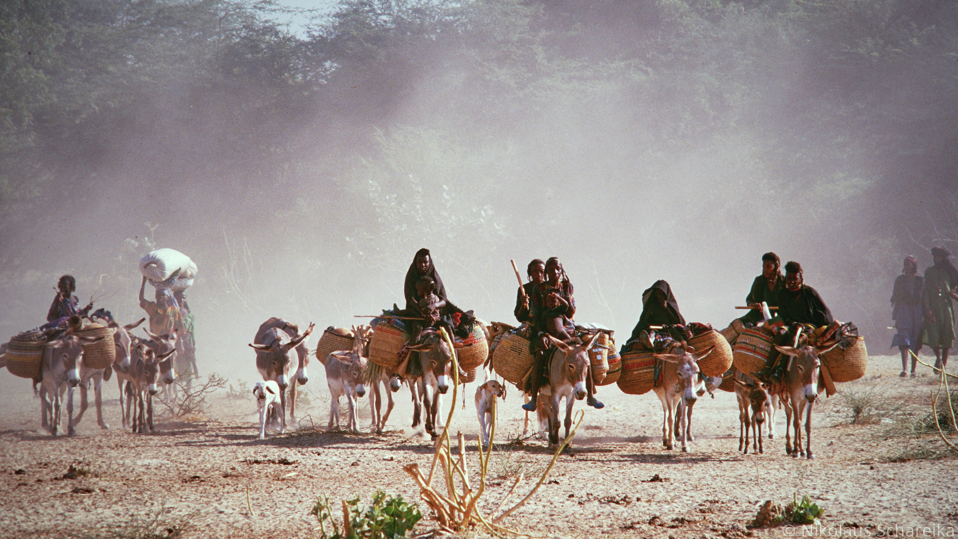 Pastoral nomads, Southeast Niger, Rich cultural heritage, 1920x1080 Full HD Desktop