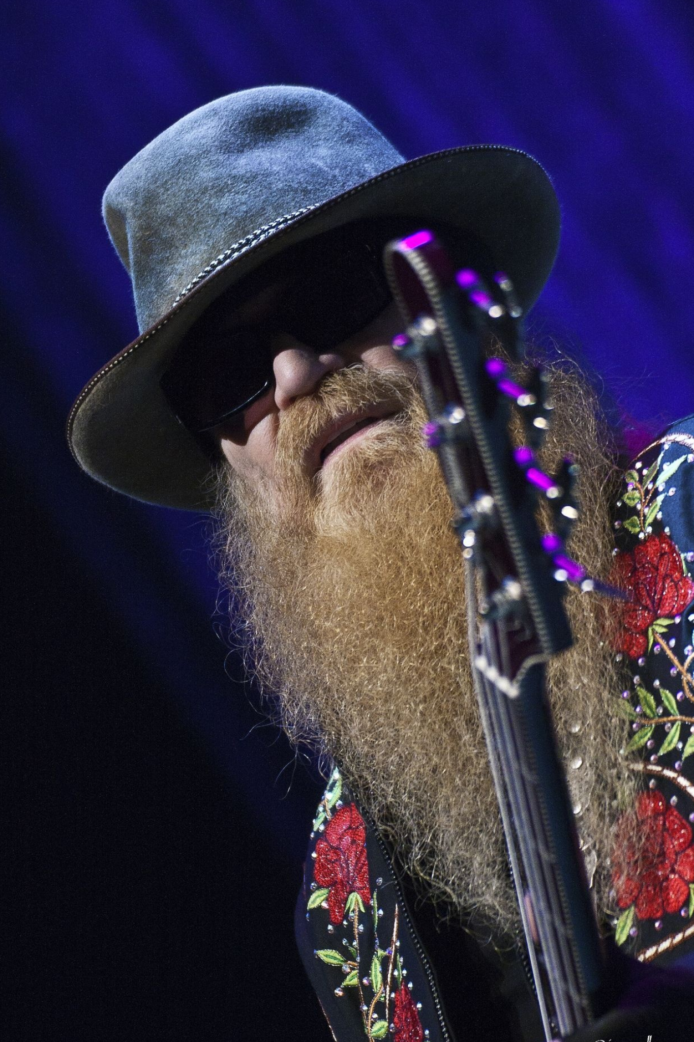 Billy Gibbons, ZZ Top, Rock style, 1370x2050 HD Phone