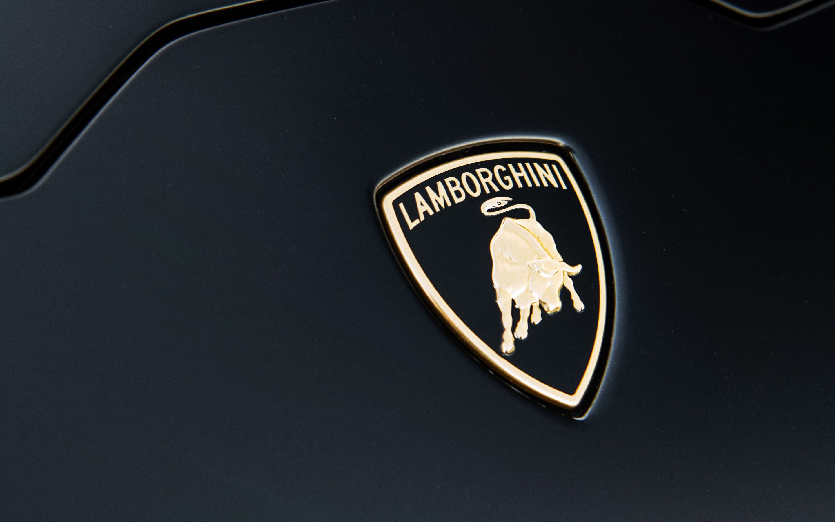 Lamborghini Hurricane Performante, 2020 Lamborghini, Black background, Logo on metal, 2880x1800 HD Desktop