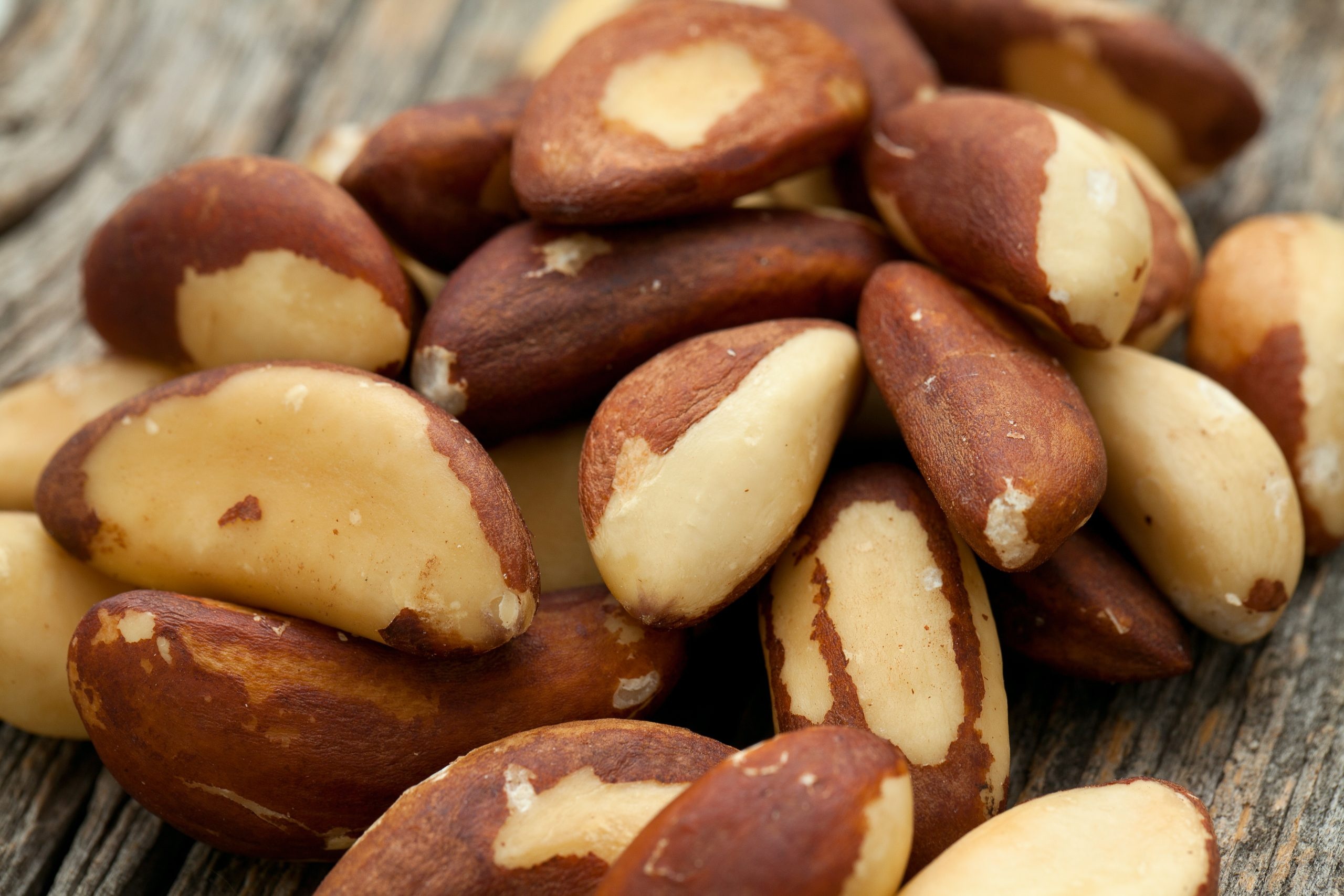Brazil Nuts: Notable for diverse content of micronutrients, A high amount of selenium. 2560x1710 HD Wallpaper.