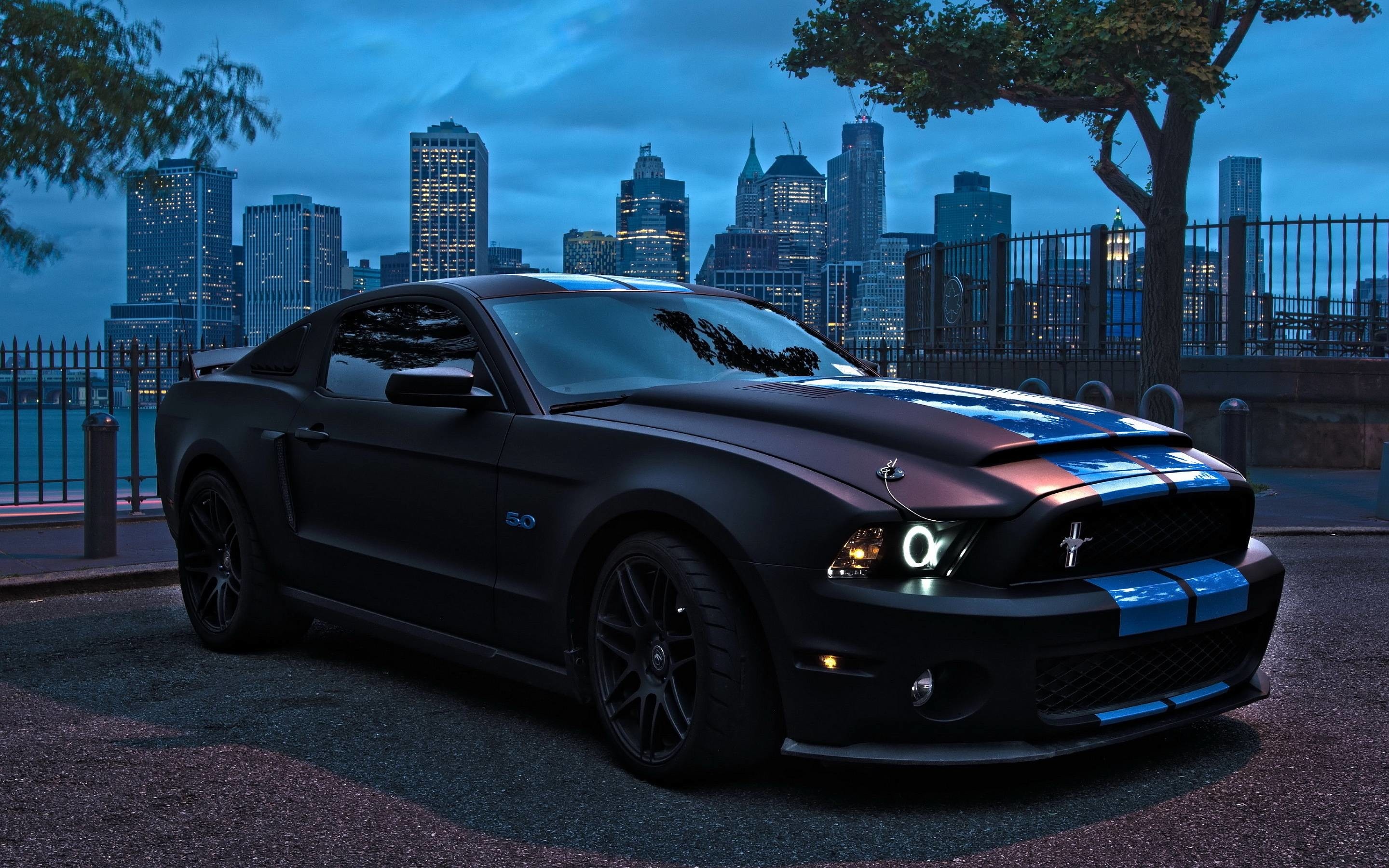 Ford Mustang, Diverse models collage, Automotive legacy, Collector's favorites, Sporty appeal, 2880x1800 HD Desktop
