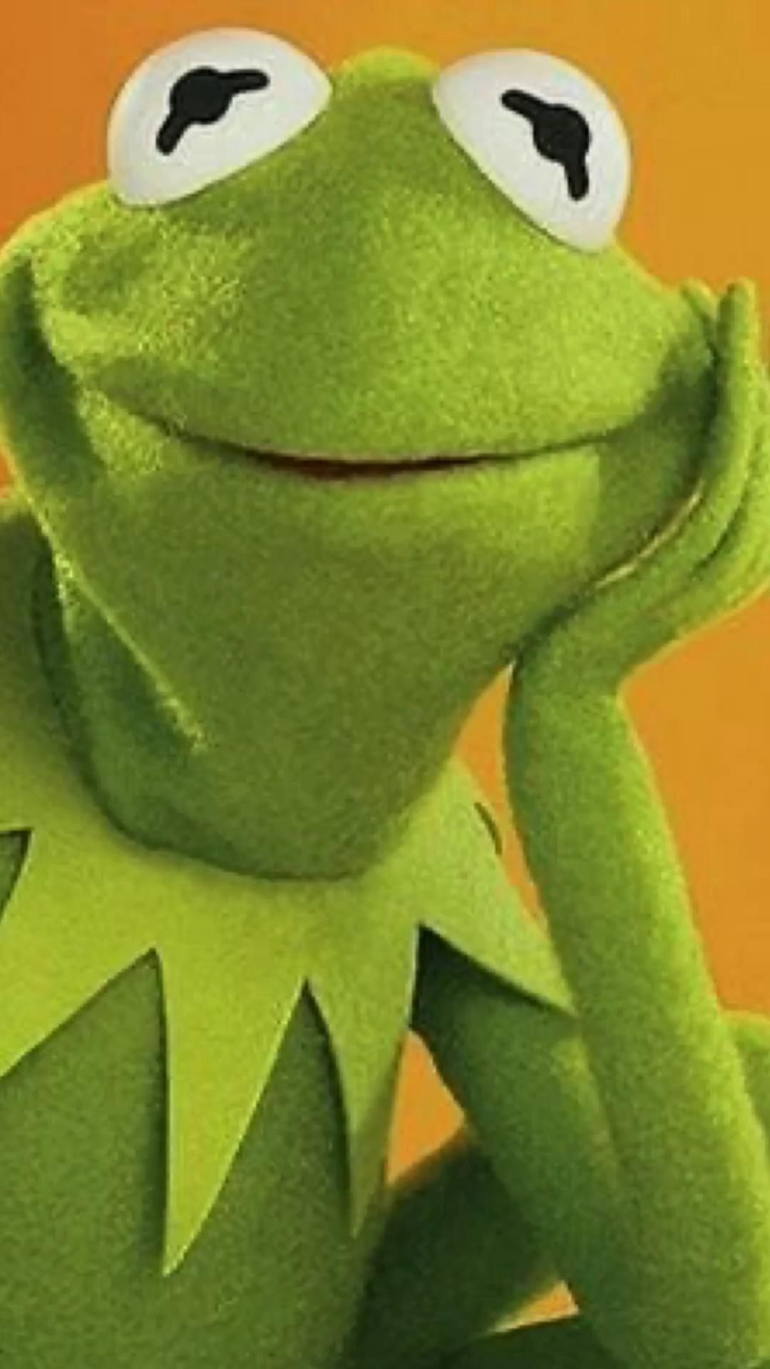 Kermit the Frog, Memorable Moments, Hilarious Expressions, Timeless Figure, 1080x1920 Full HD Phone