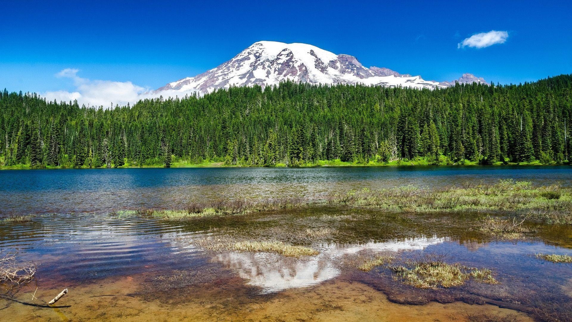 Mount Rainier, National park views, Alpine meadows, Hiking paradise, 1920x1080 Full HD Desktop
