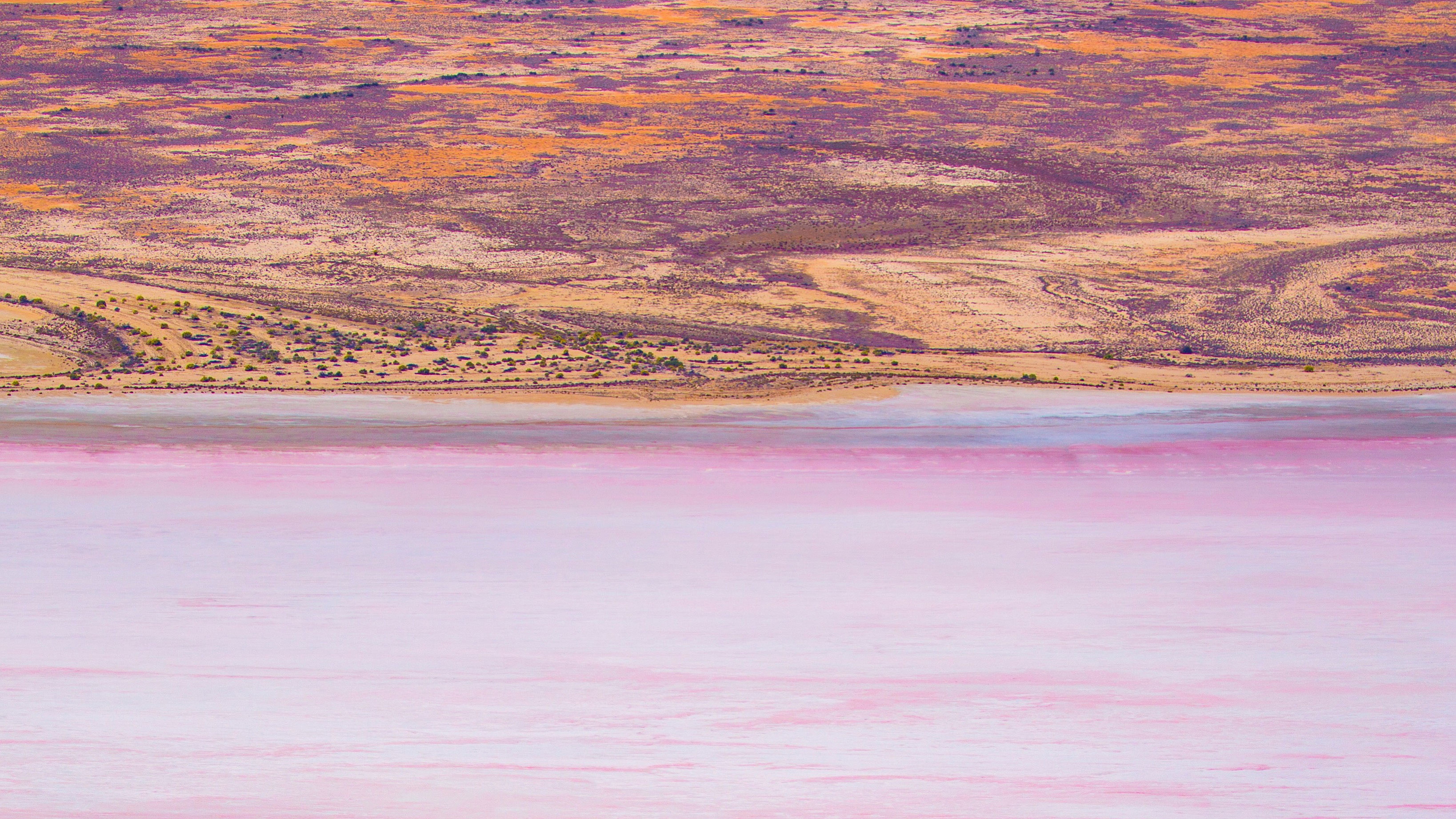 Eyre Lake, Australia, Travels, Dazzling colors, 3280x1850 HD Desktop