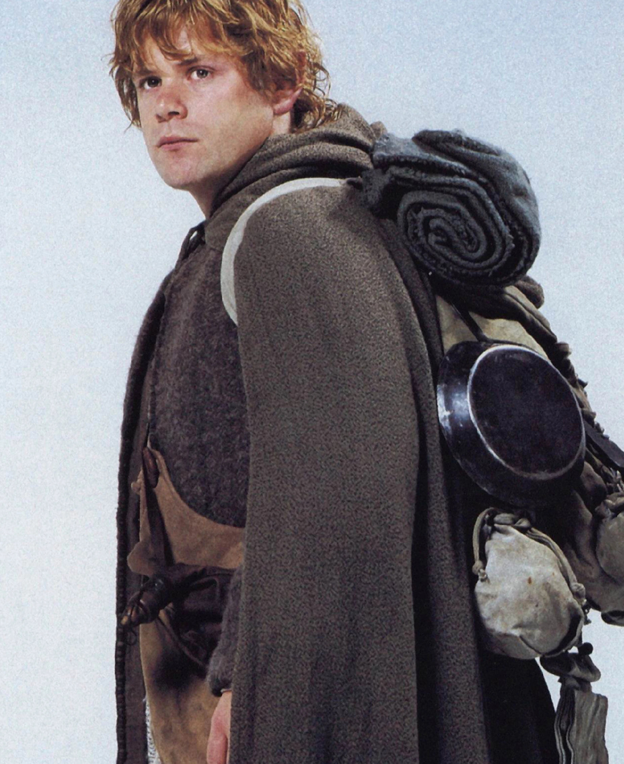 Sam, Faithful companion, Frodo's friend, Hero of Middle-earth, 2060x2520 HD Phone