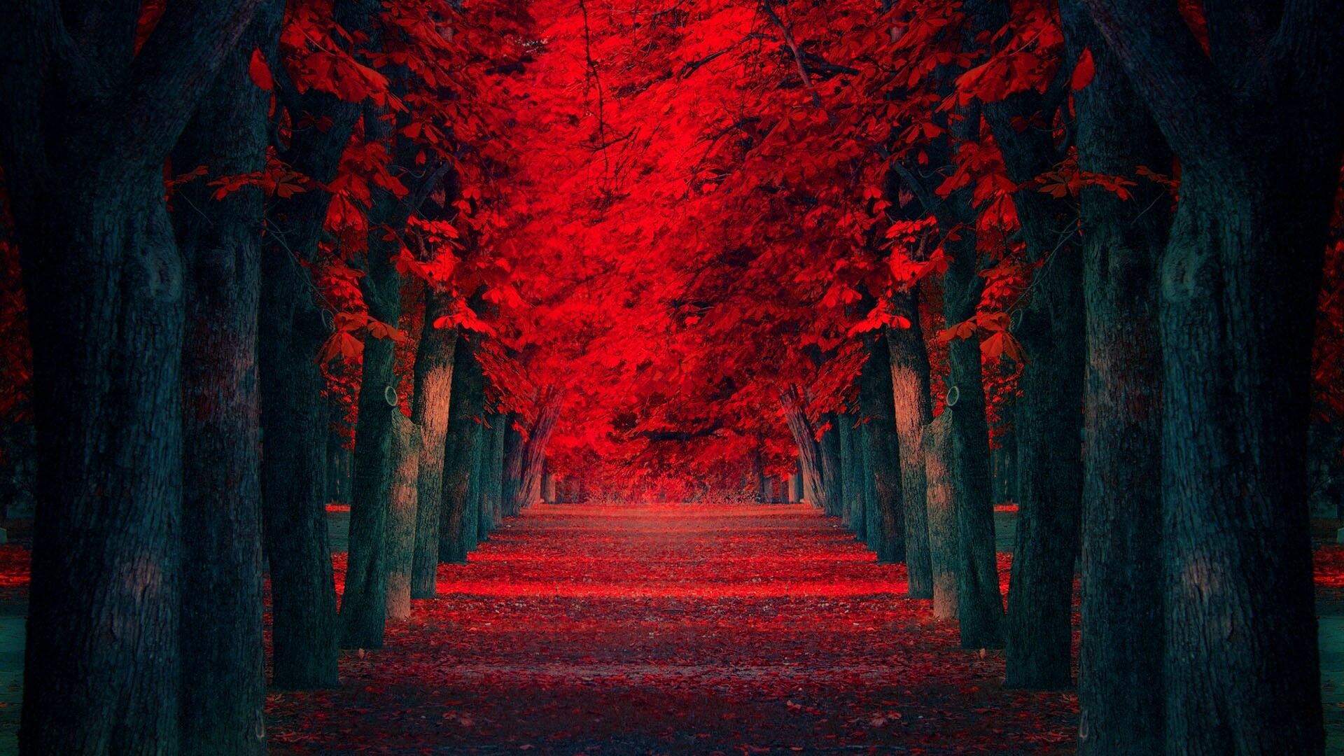 Captivating red tree, Nature's masterpiece, Majestic foliage, Eye-catching scenery, 1920x1080 Full HD Desktop