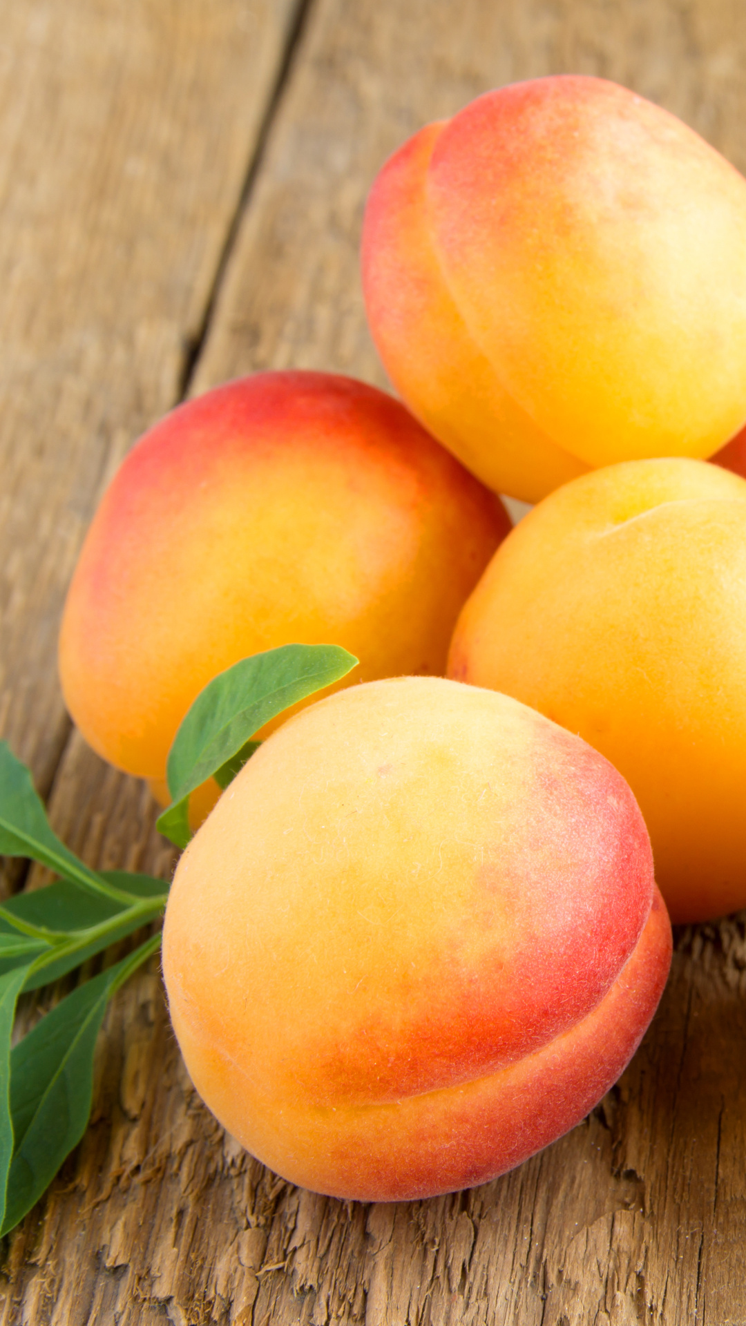 Apricot, Juicy fruit, Vibrant color, Sweet taste, 1080x1920 Full HD Phone