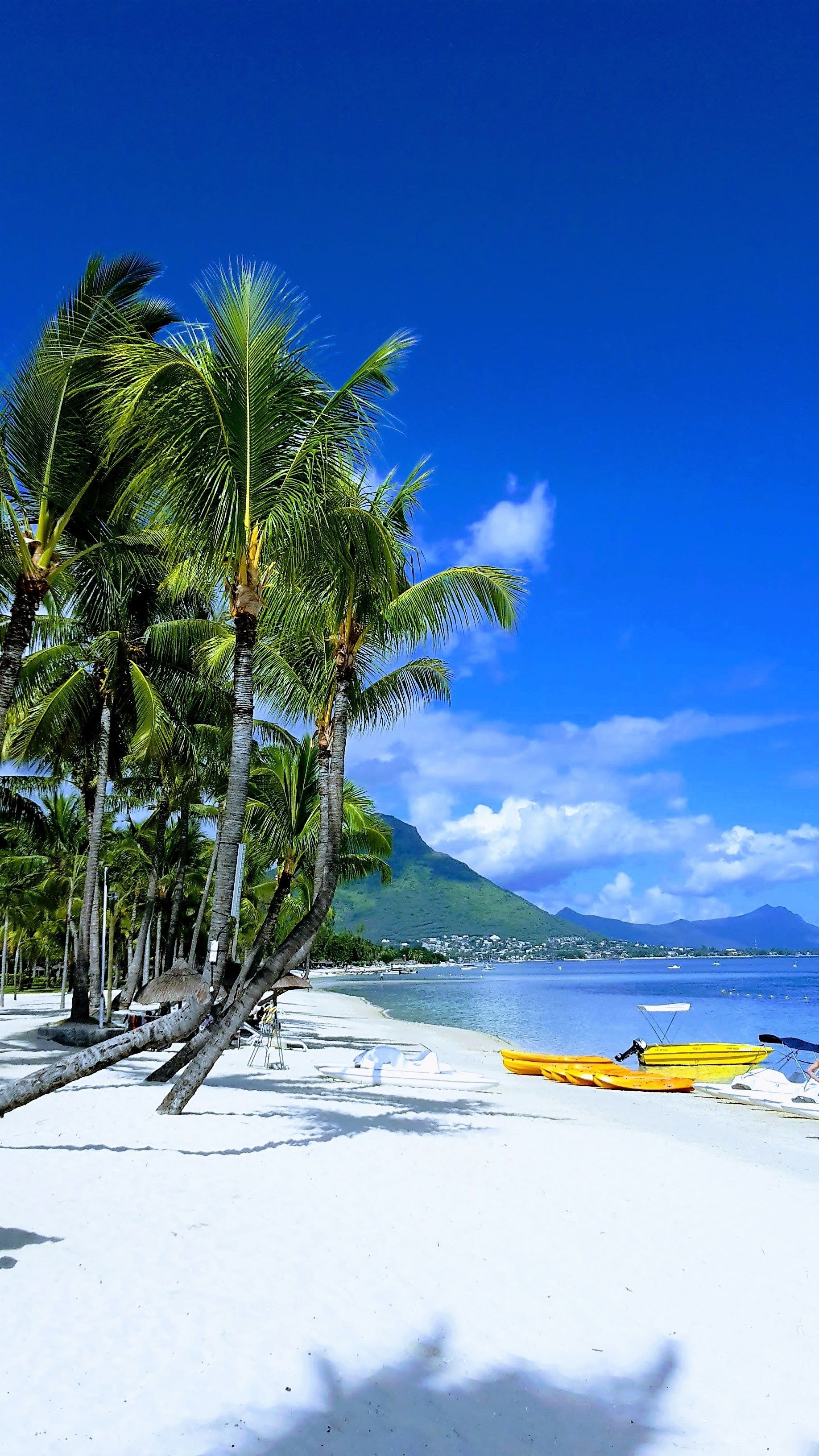Mauritius Island, Flic en Flac beach, Tropical vibes, Popular destination, 1840x3270 HD Phone