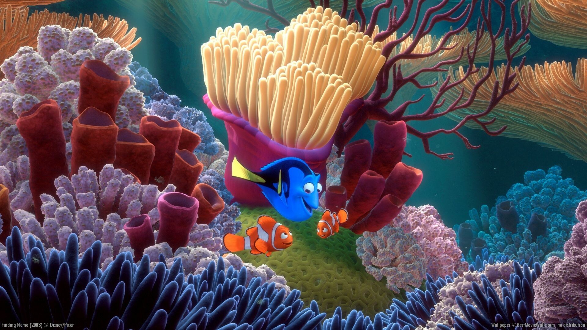 Finding Nemo: Dory, A fish that suffers from short-term memory loss, Marine world. 1920x1080 Full HD Wallpaper.